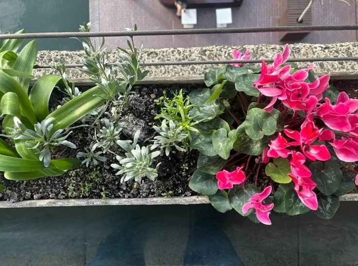 Barbican Open Balconies