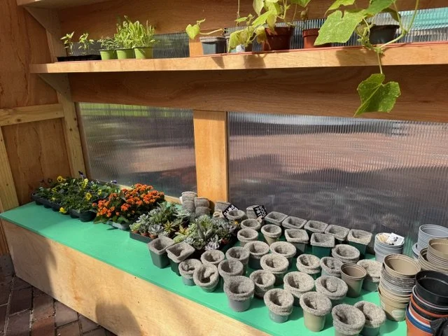 veggery-kids-gardening-event-IMG_5697.jpeg