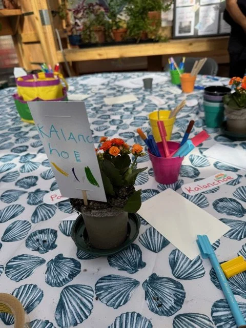 70 Children Get Planting with the Barbican Horticultural Society