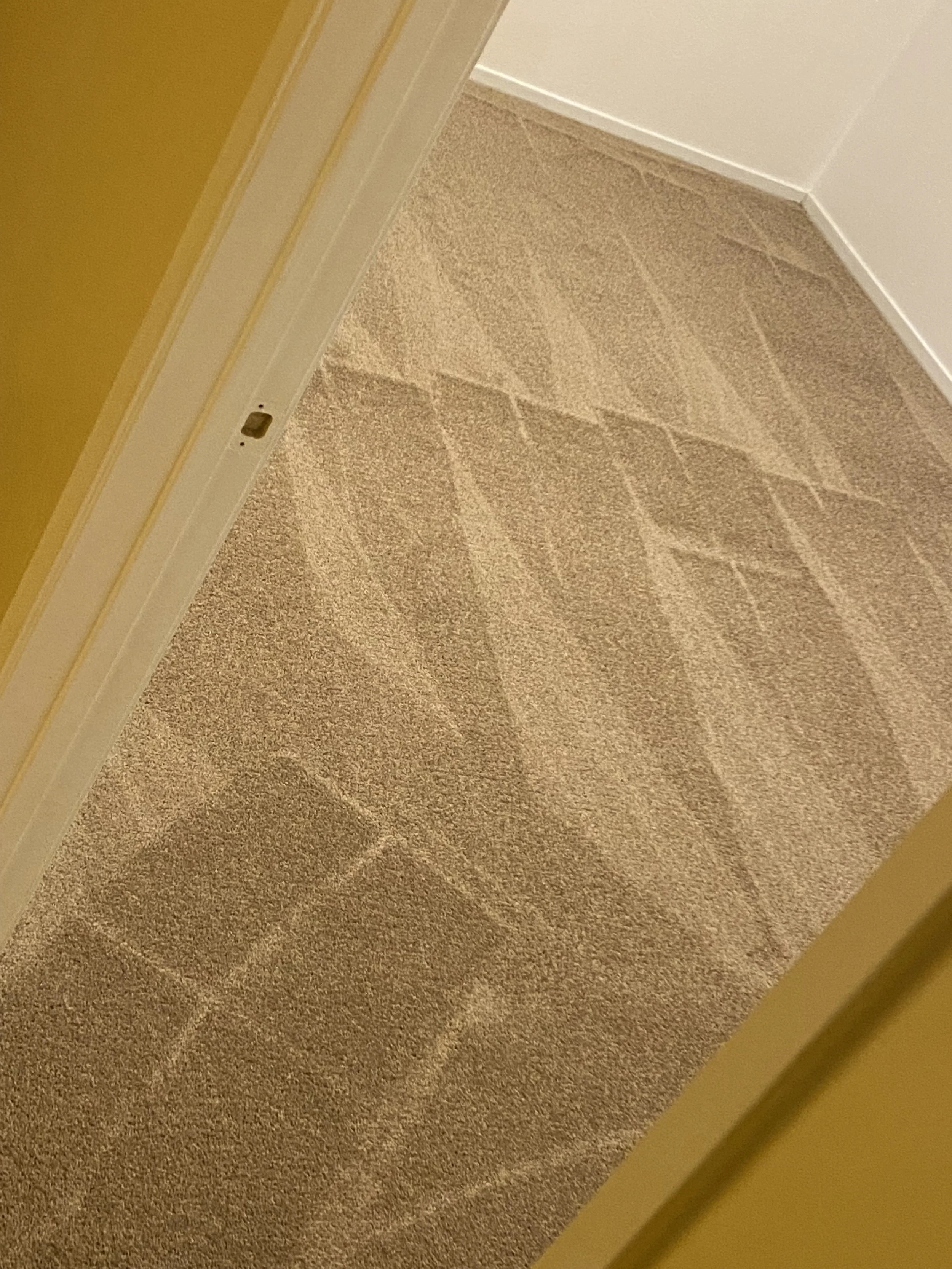 Close-up of a corner in a room showing beige carpet flooring, white baseboards, and part of a yellow wall.