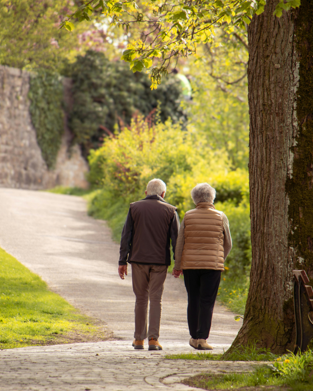 An elderly couple walking hand in hand along a tree-lined path in a park during daytime.