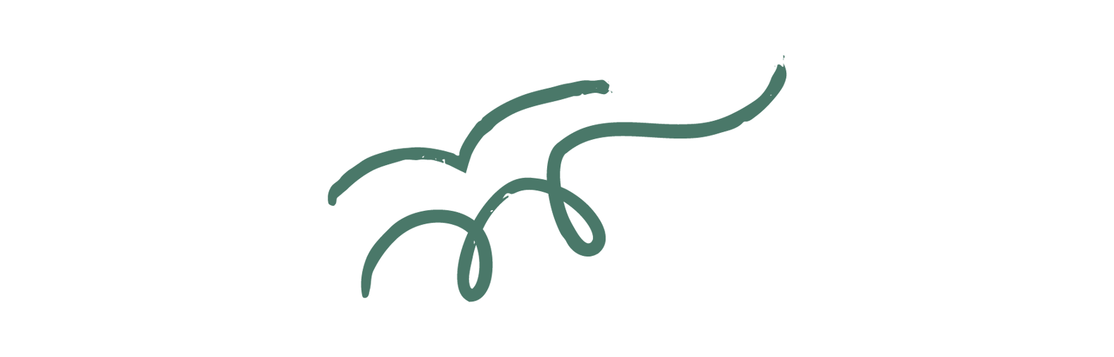 A simple line drawing of a spider with long, thin legs.