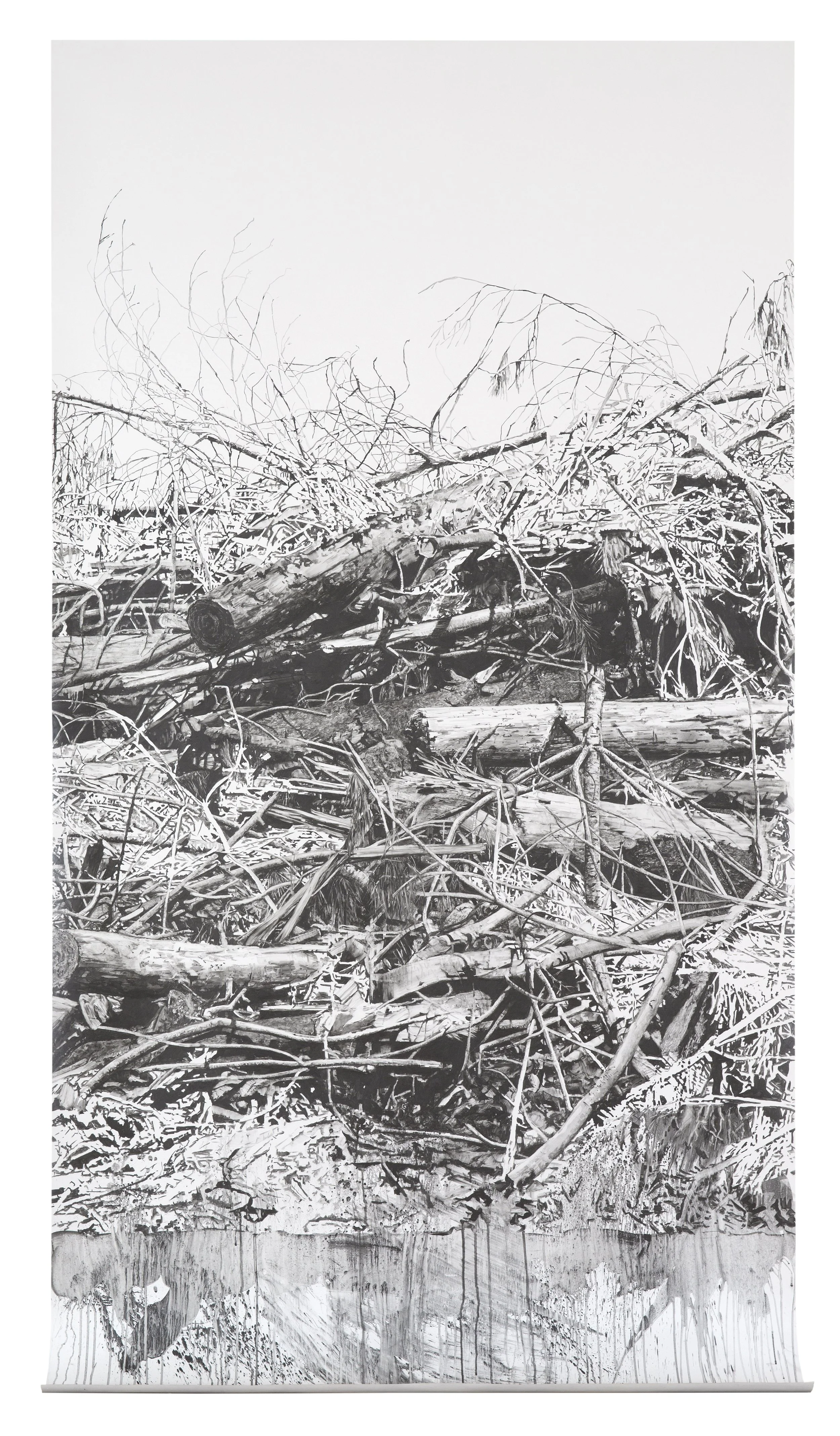 A monochrome drawing of a pile of logged trees cut to  branches and logs, with some leaning against each other. under a plain sky.
