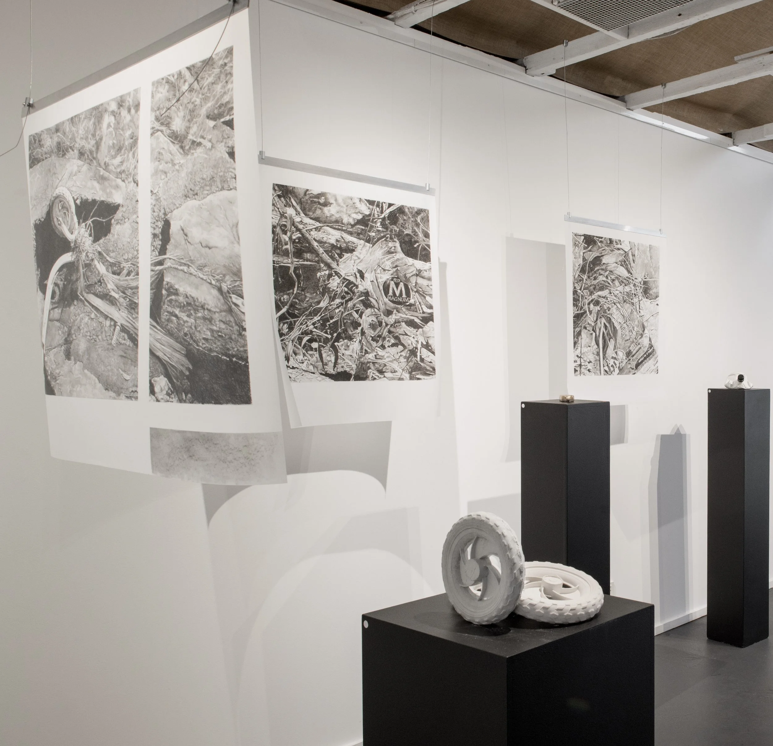 Black-and-white photographs hanging on a wall in an art gallery, featuring scenes of nature with fallen branches, rocks, and dirt, displayed in a row with hanging wires.