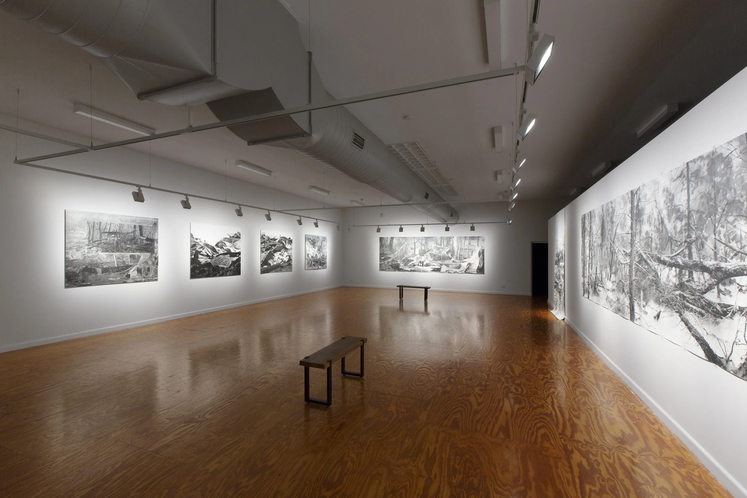 Black and white photographs depicting forest scenes displayed on white walls in an art gallery with wooden flooring and ceiling track lighting.