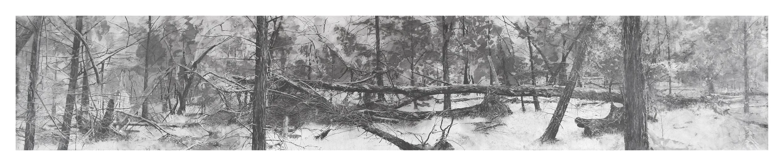 A black and white landscape drawing of a  forest with leafless trees and fallen branches.
