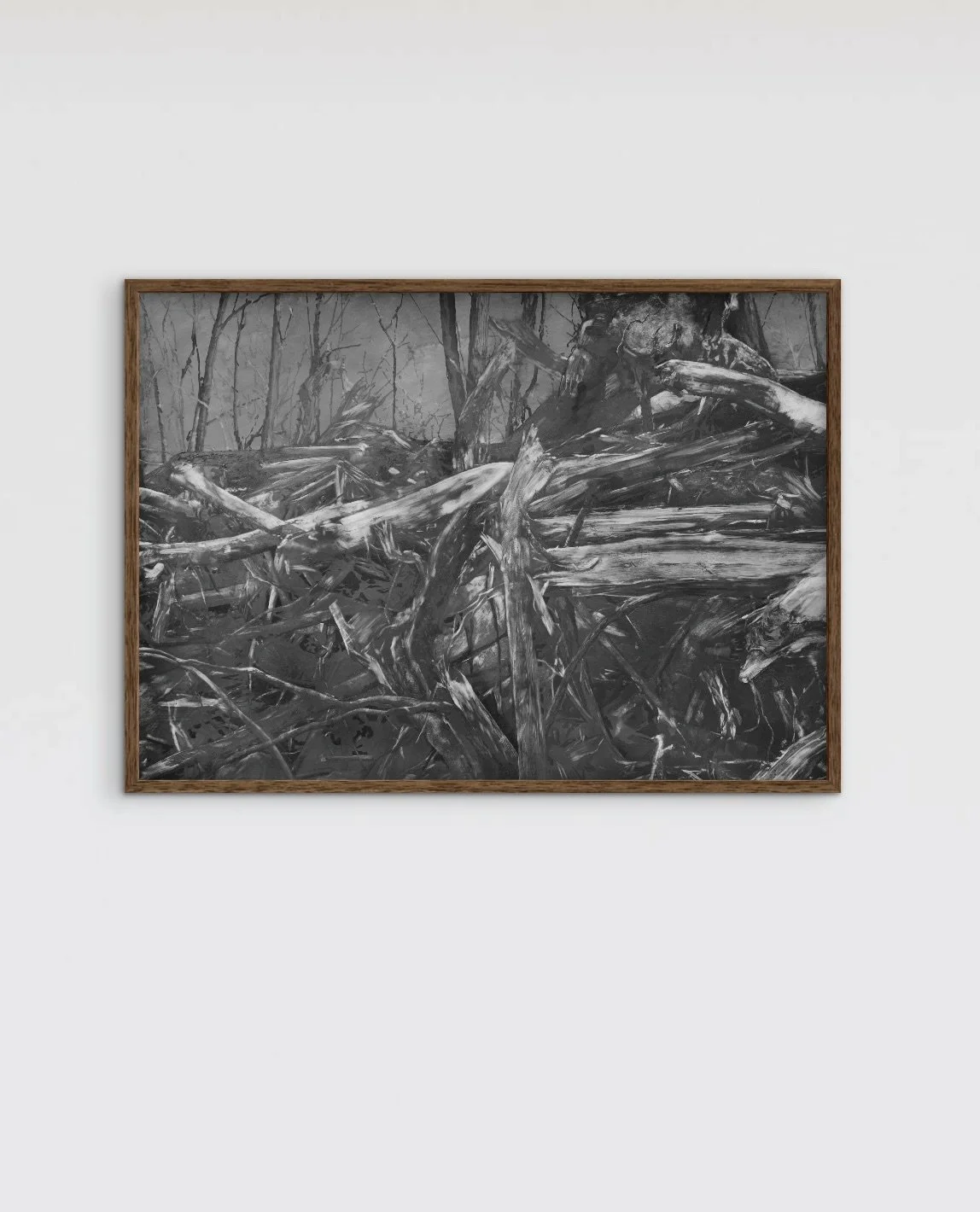 RAZED
