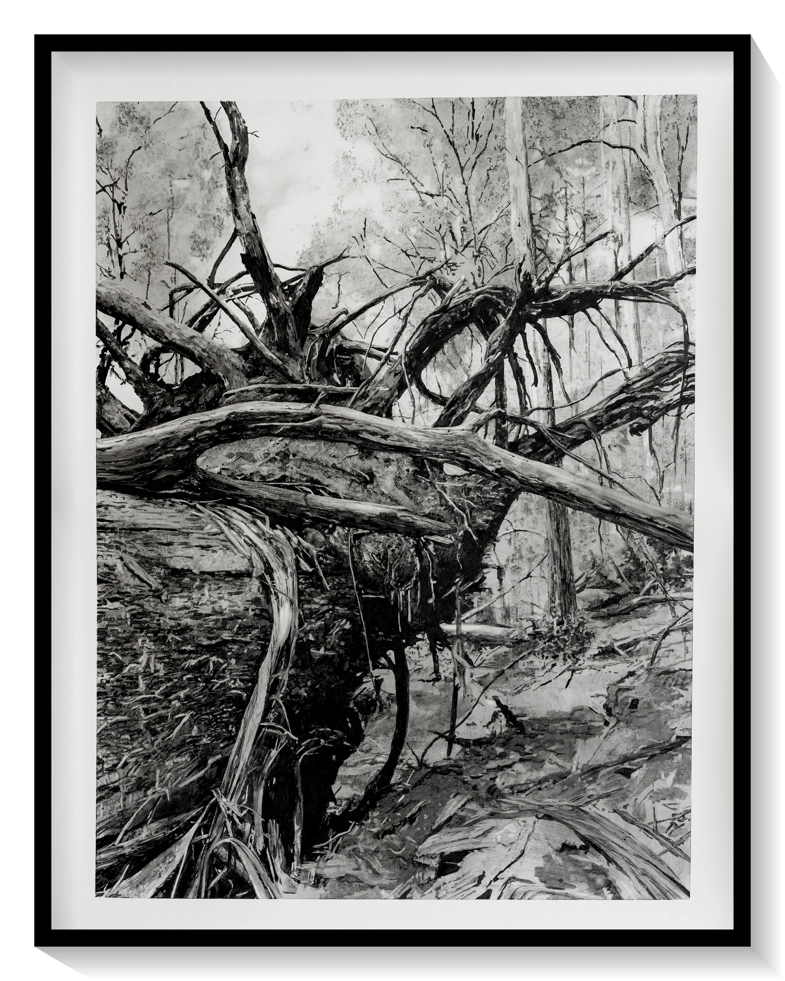 Black and white painting of fallen tree branches and trunks in a forest scene.