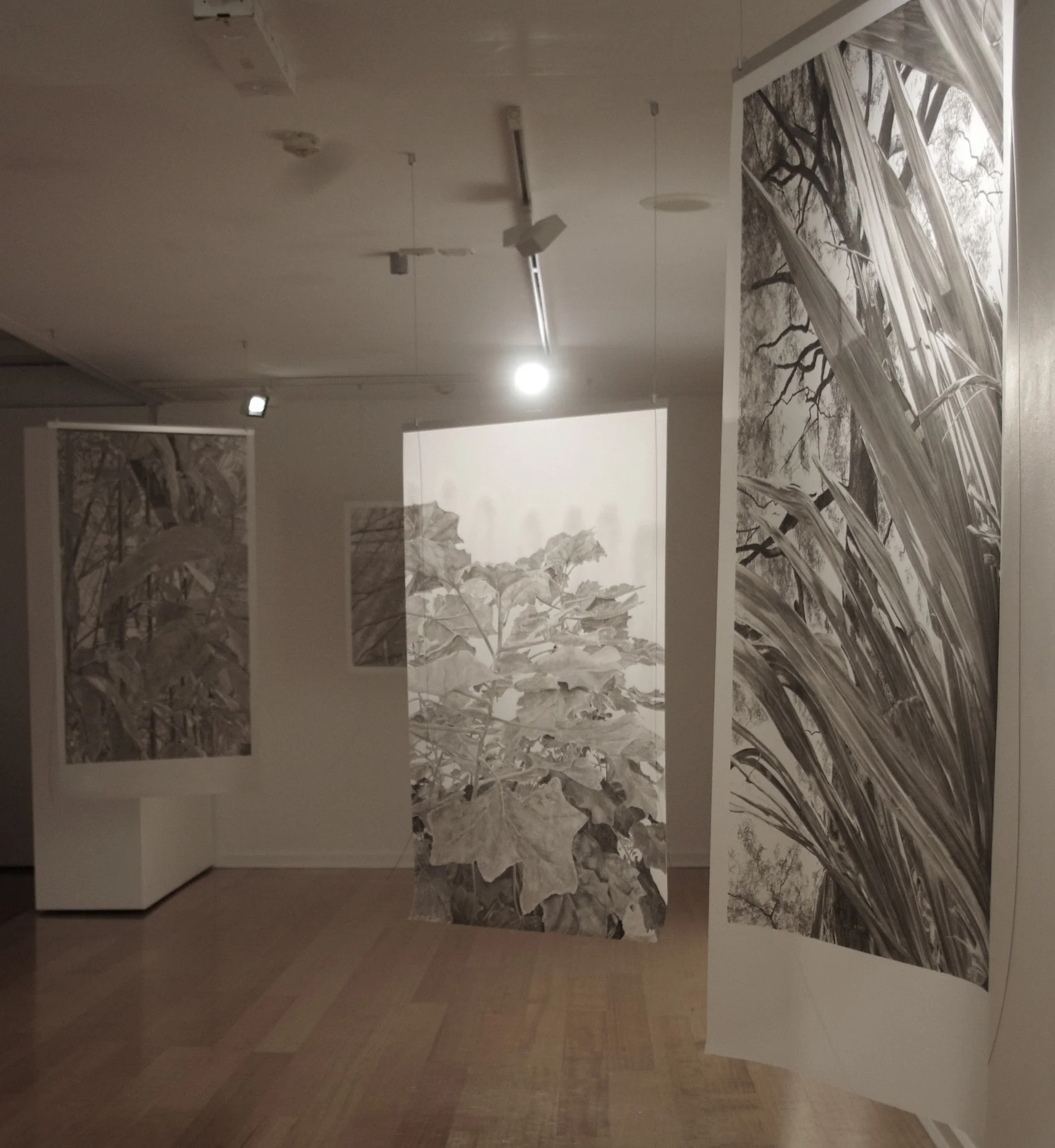Gallery with black and white landscape artworks depicting trees and nature scenes displayed on white walls.