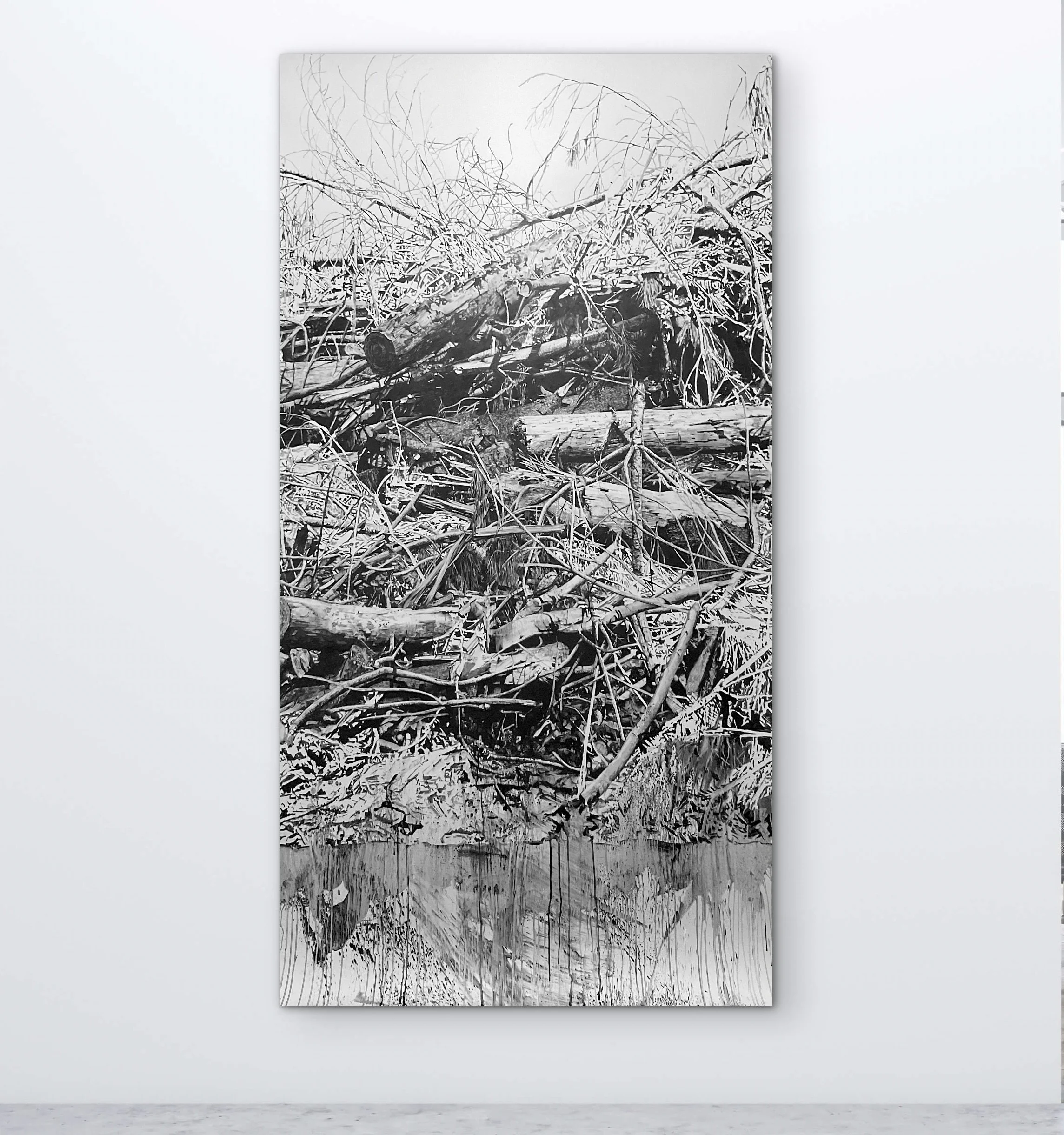THE ENTANGLEMENT