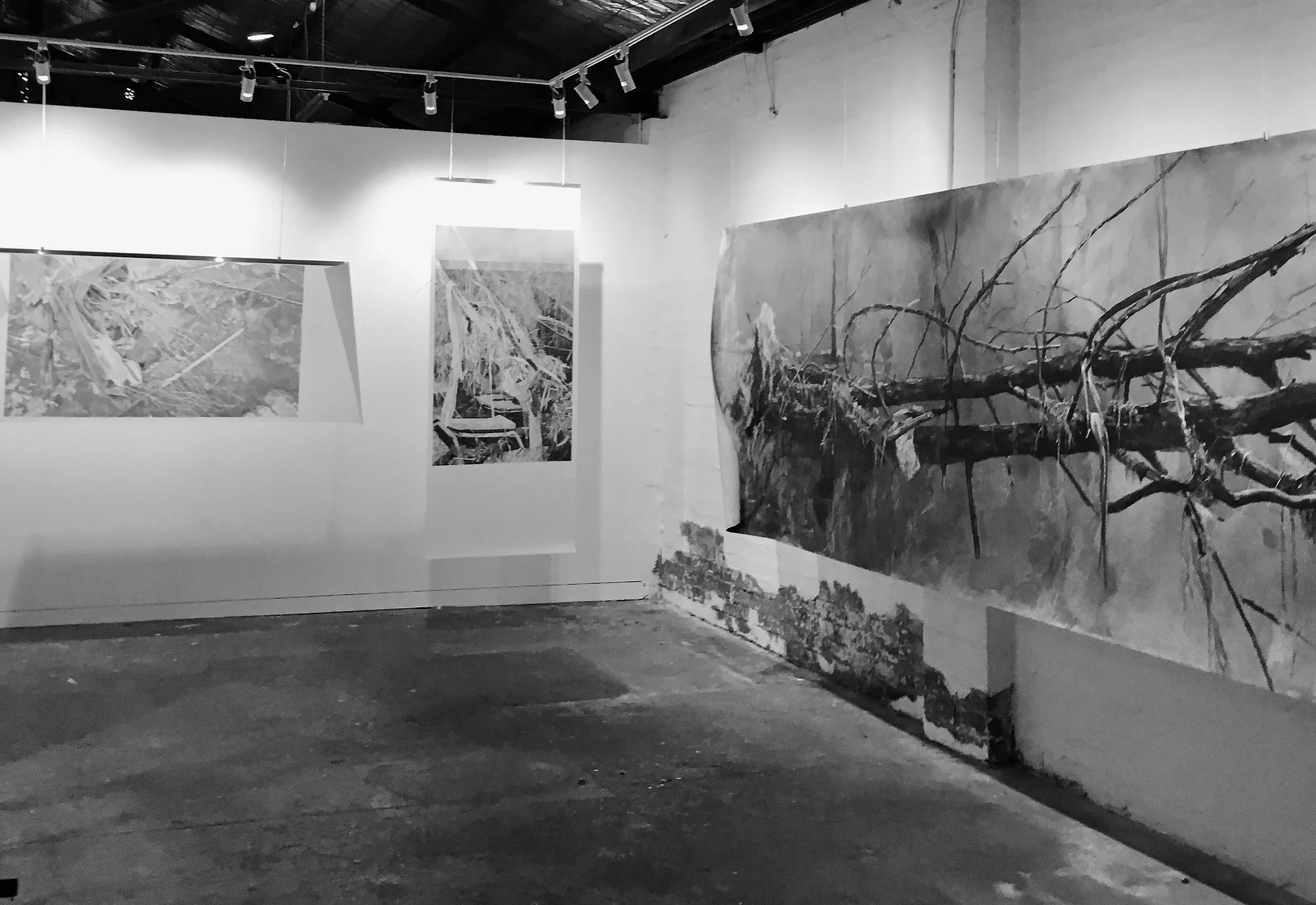 Black and white photograph of an art gallery interior with large nature-themed paintings on display, hanging on white walls with track lighting above.