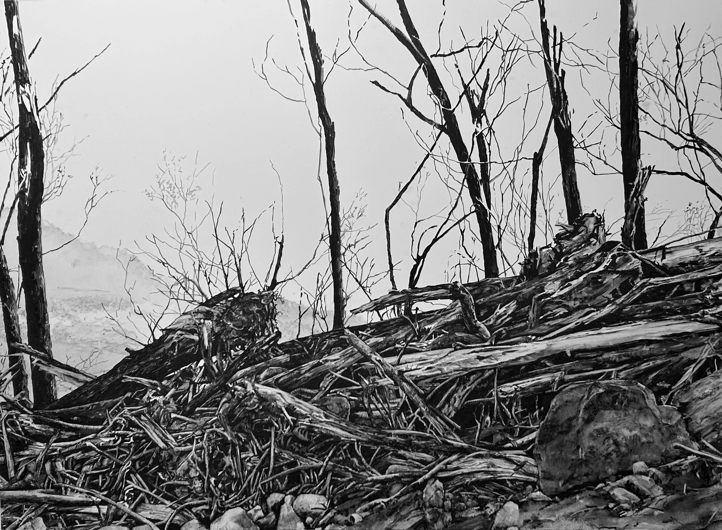 Black and white drawing of leafless trees and fallen branches on the ground under an overcast sky.