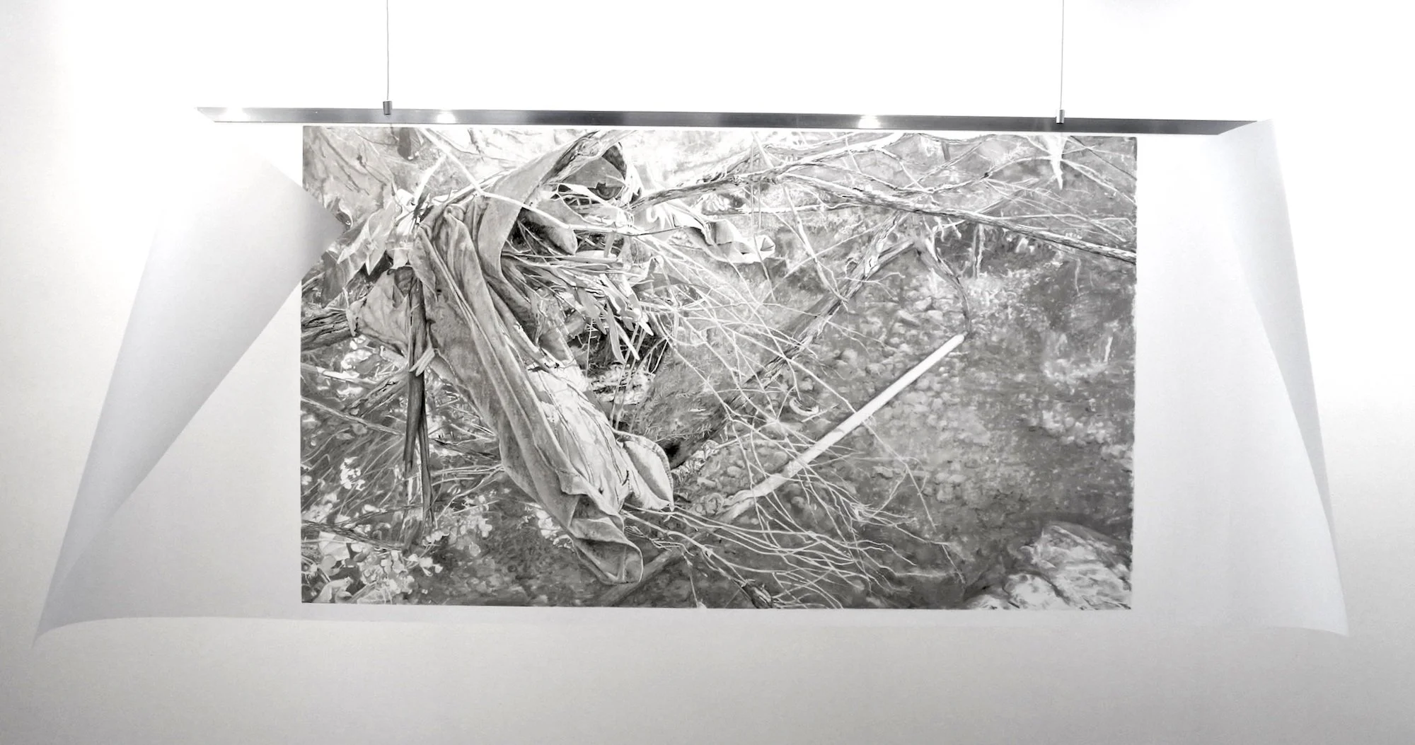 Black and white drawing of tree roots and branches on the ground, with some leaf litter and small rocks.
