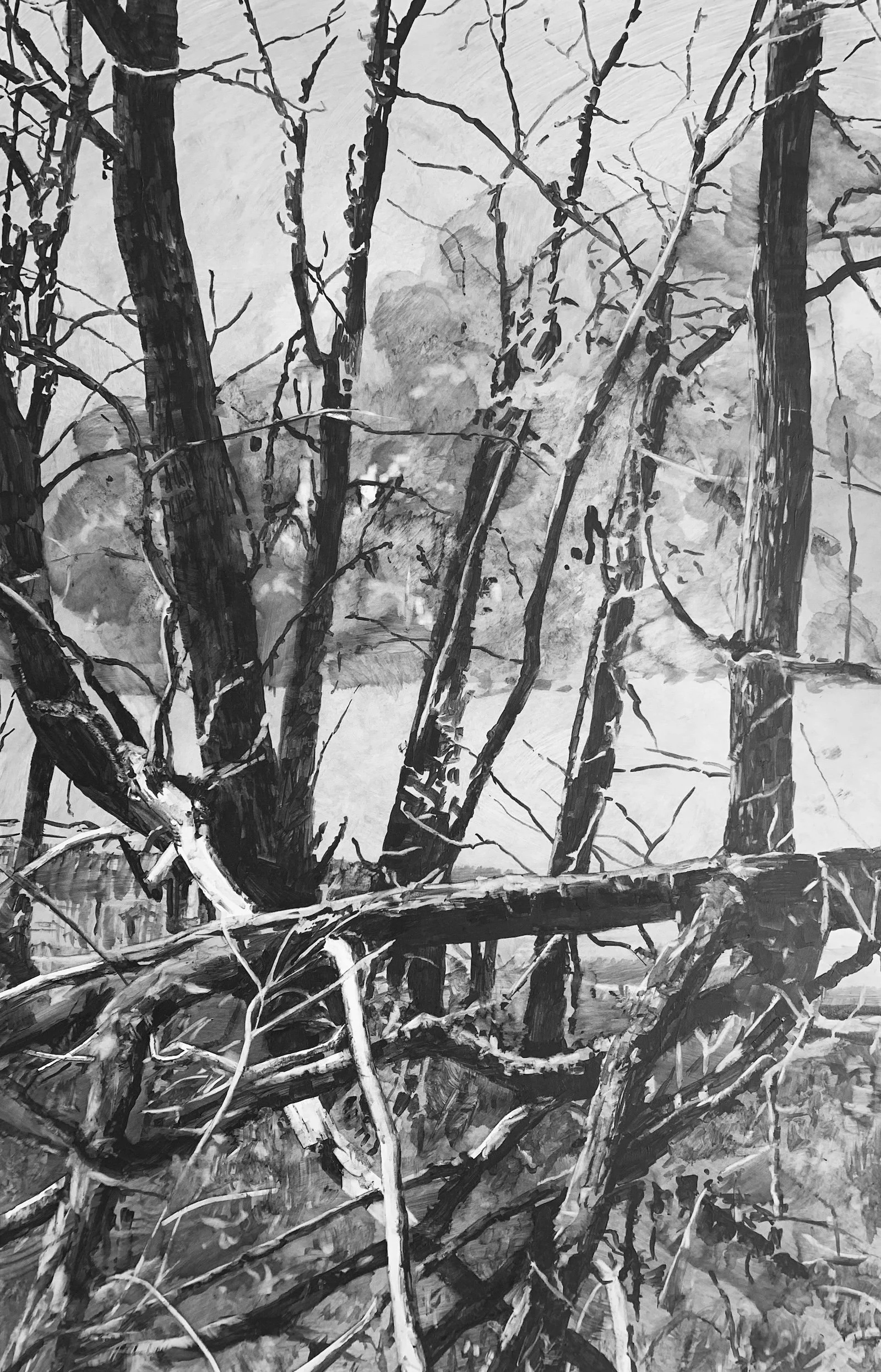 Black and white painting of a chaotic tangle of tree branches, some fallen, creating a dense forest scene.