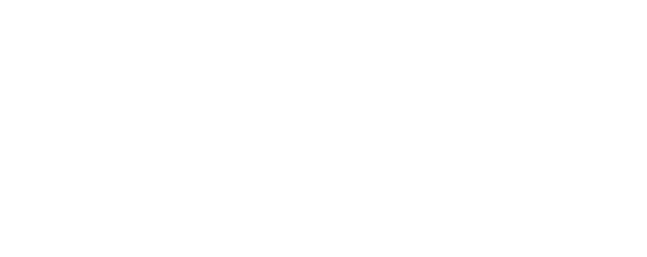 NIELSEN Studio