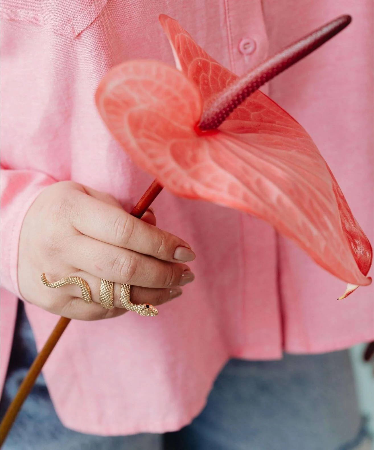 Person holding a pink anthurium flower with gold snake-shaped jewelry on their fingers, wearing a pink shirt.