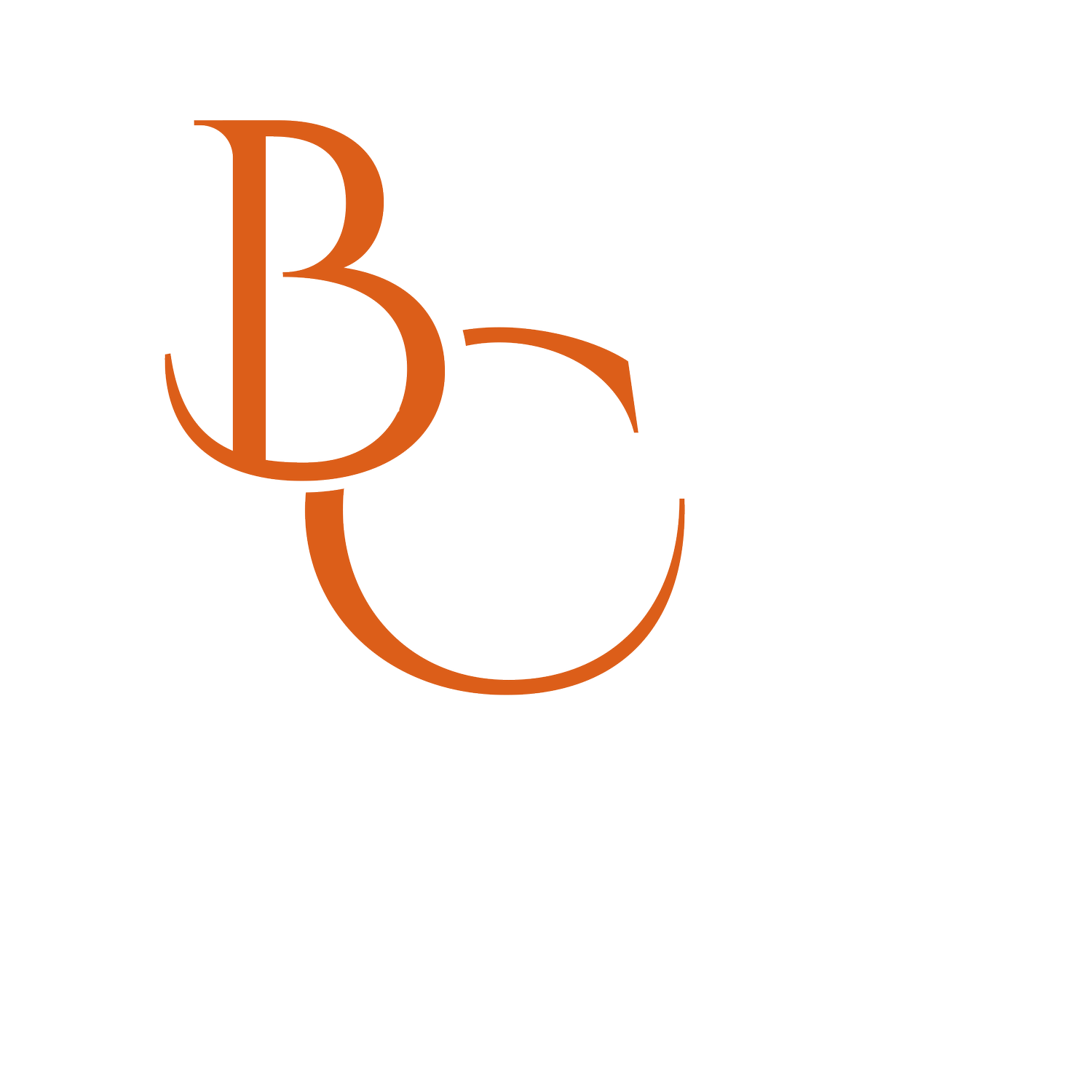 Brii Creative Visuals