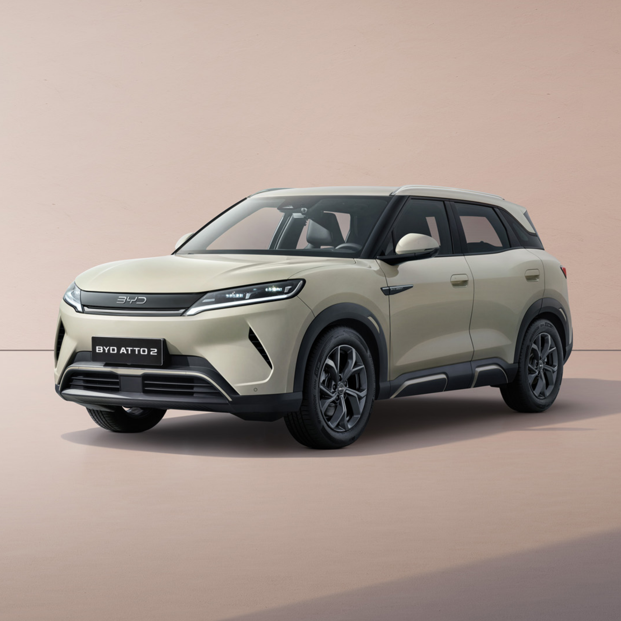 BYD ATTO 2 DMI