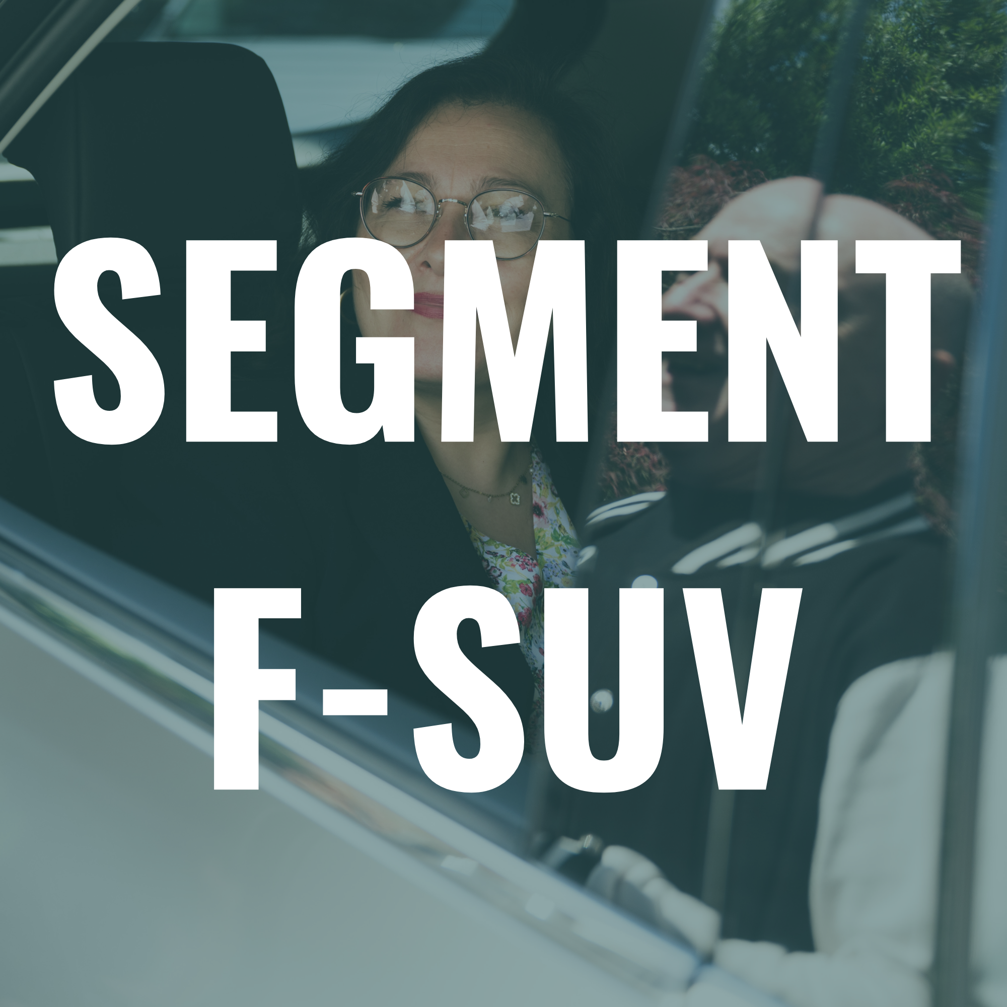 SEGEMENT F SUV.png