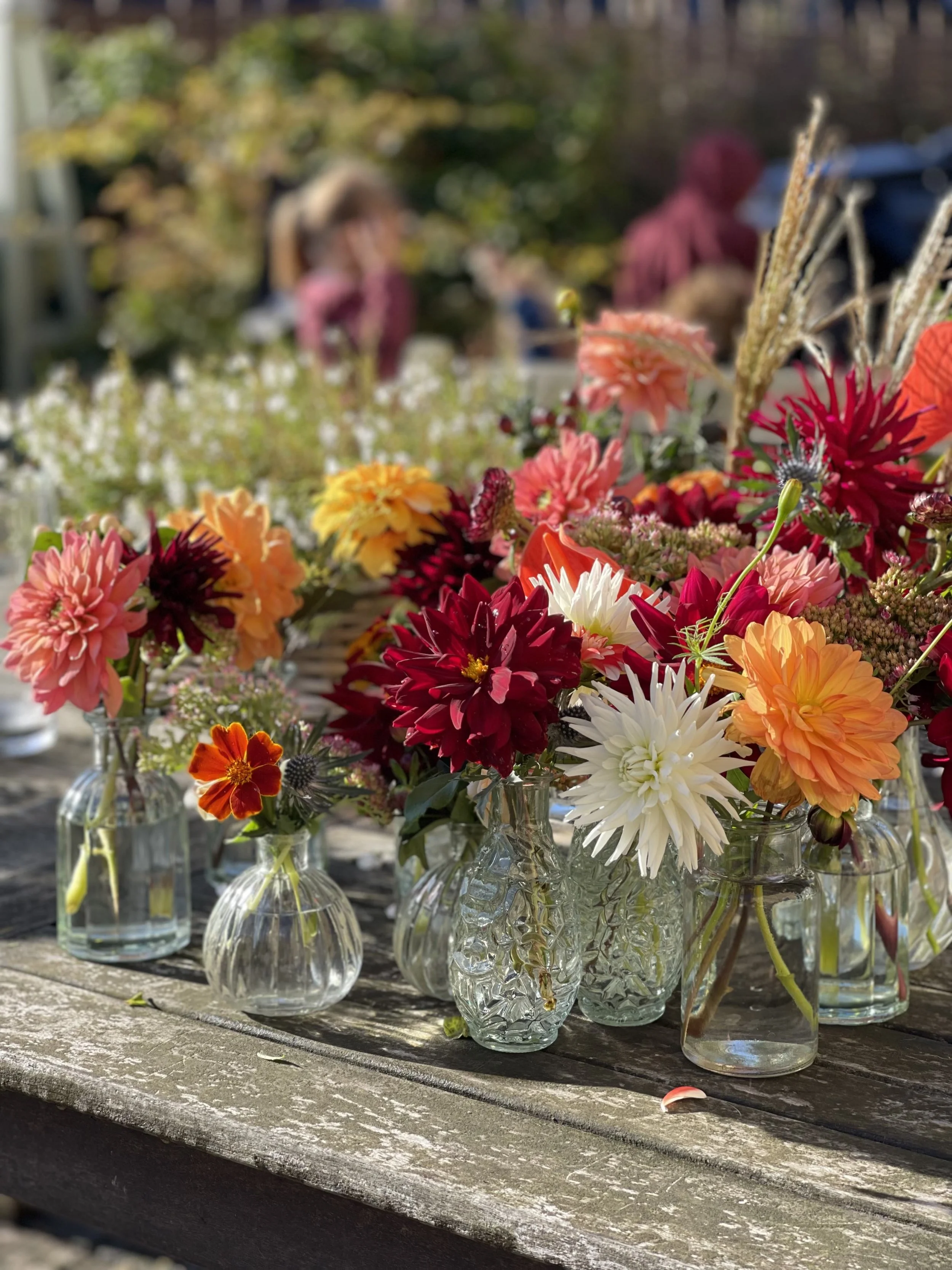 Seasonal Jam Jar Flowers