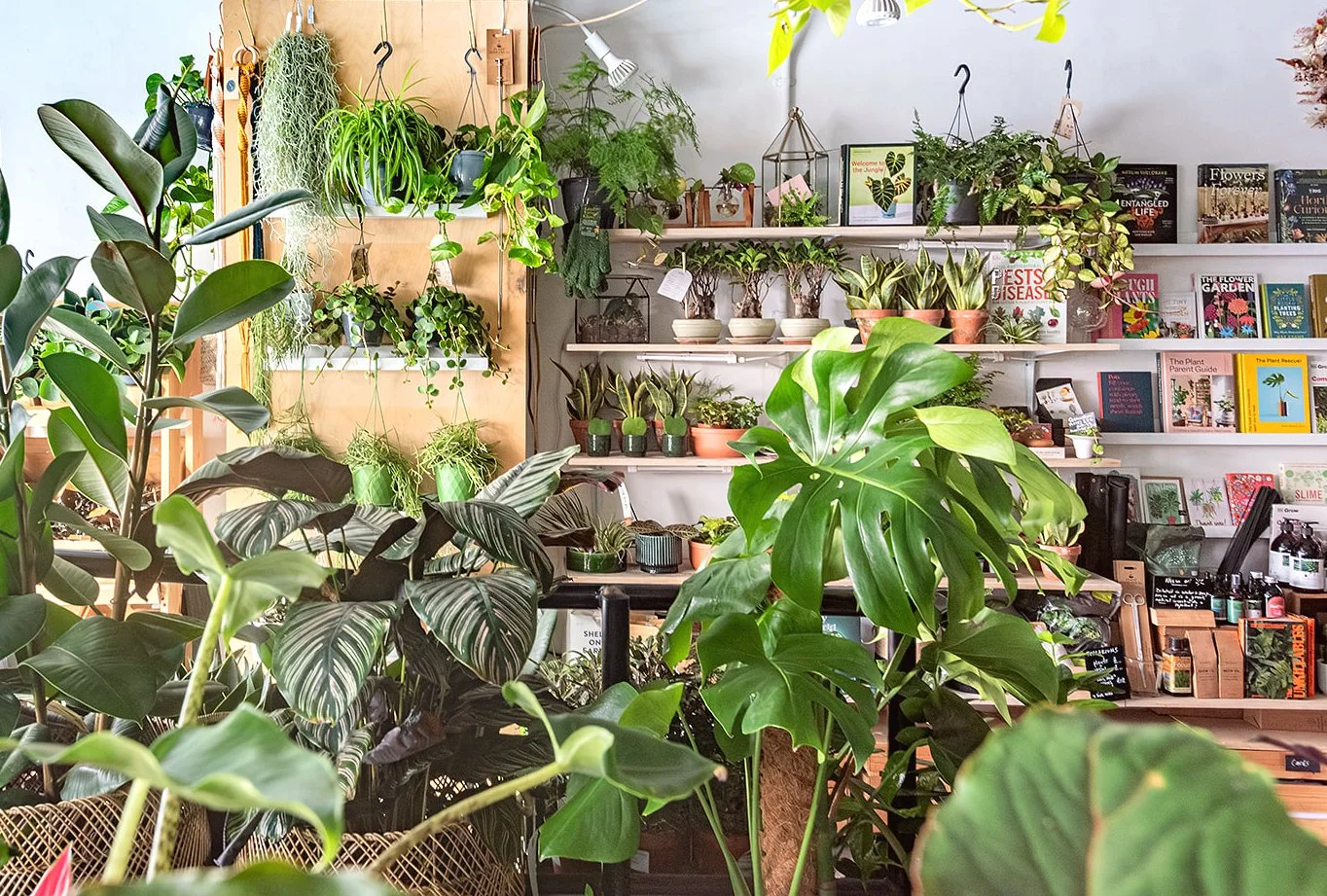 EverySpace_Alexandria Hall (220 of 261)_websize.JPG