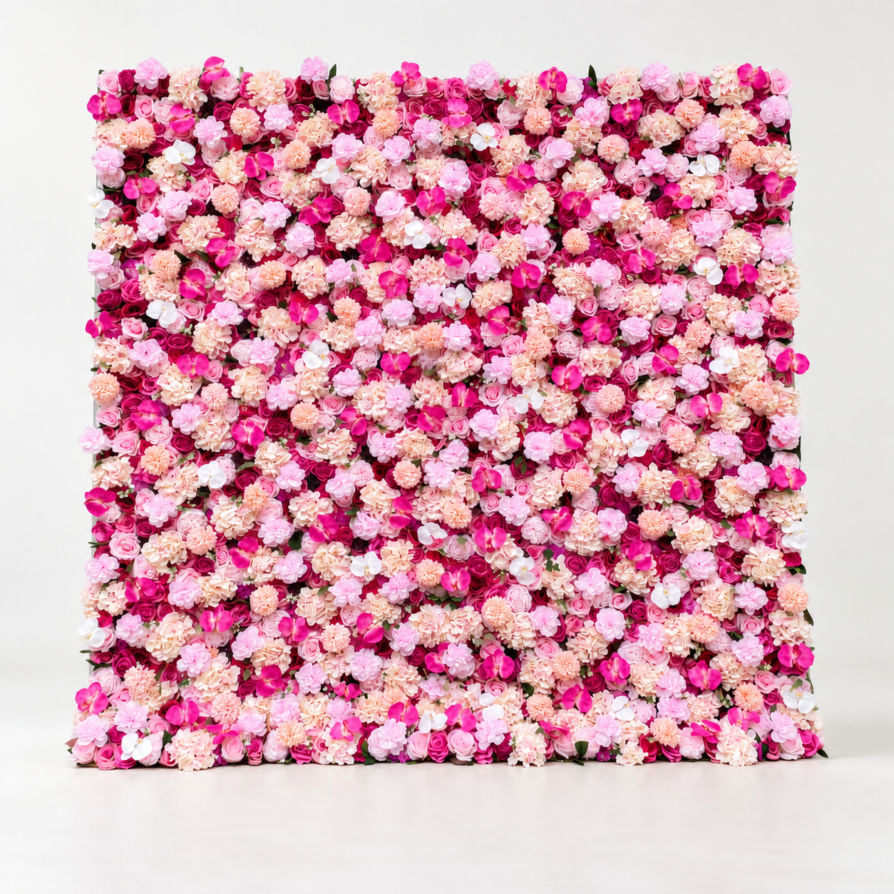 Blooms in Pinks