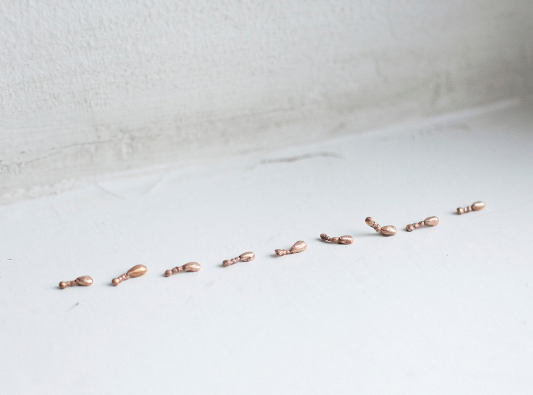 Muurahaiset / Ants