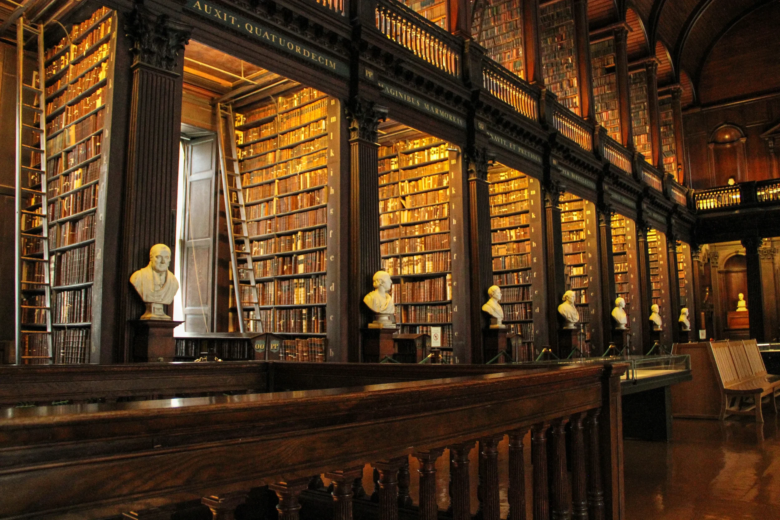 Estanterías en una biblioteca con bustos y un largo escaperio, en un ambiente de madera oscura y arquitectura clásica.