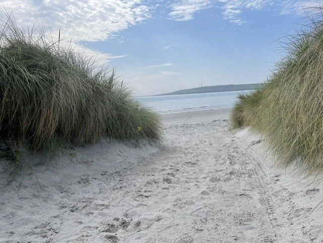 A sandy beach path between tall grasses leading to the water under a partly cloudy sky.
