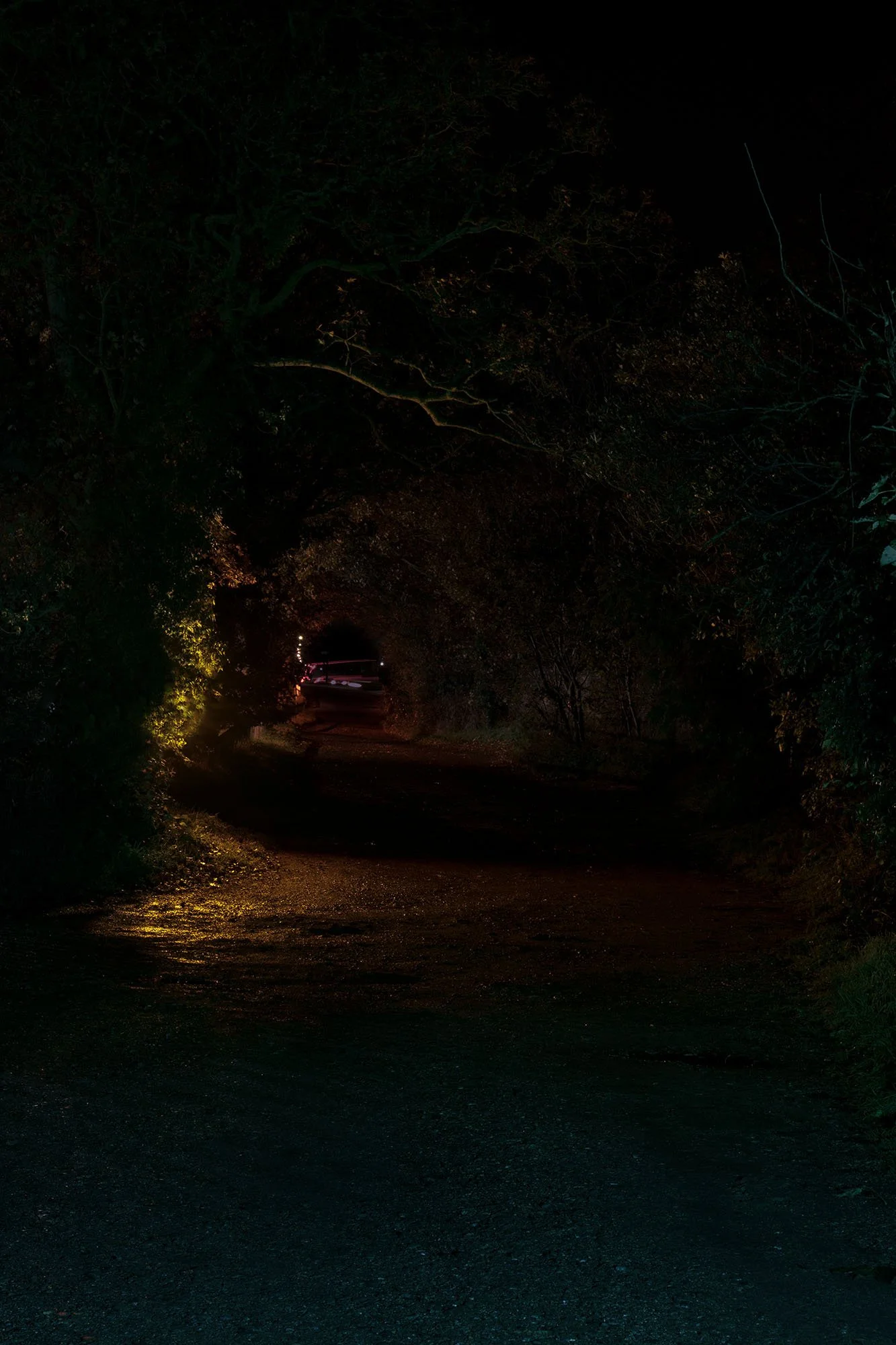 Dark dirt road lined with trees on both sides, faintly illuminated by distant lights at the end of the road, with a canopy of branches overhead.