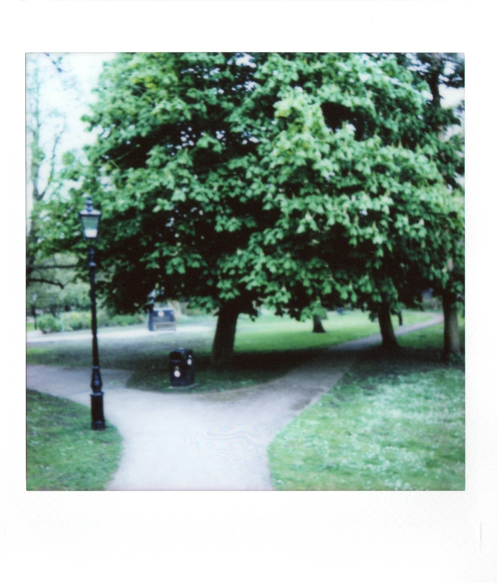 A park scene with a large leafy tree, a sidewalk intersection, a street lamp, a trash can, and a grassy area.