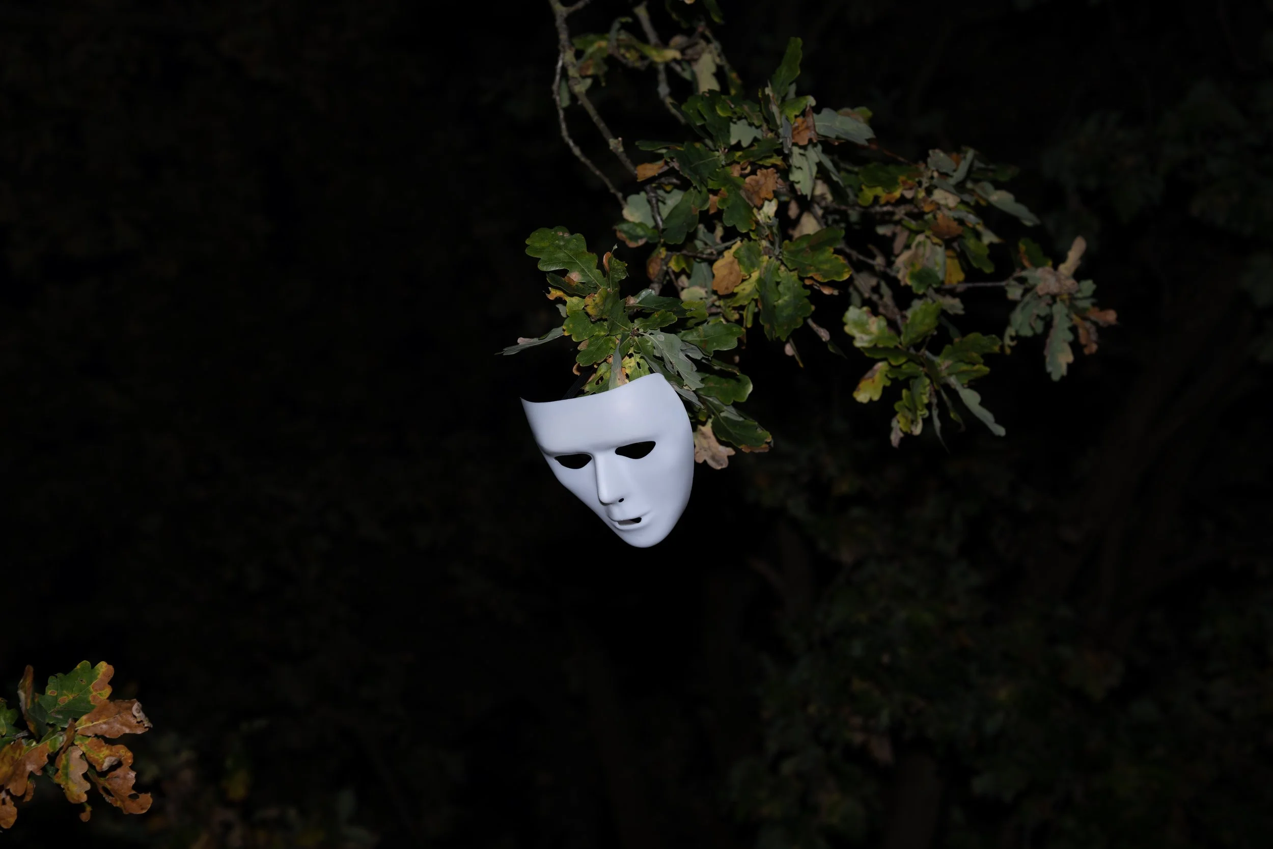 A white mask resembling a human face hangs on a tree branch in a dark outdoor setting.