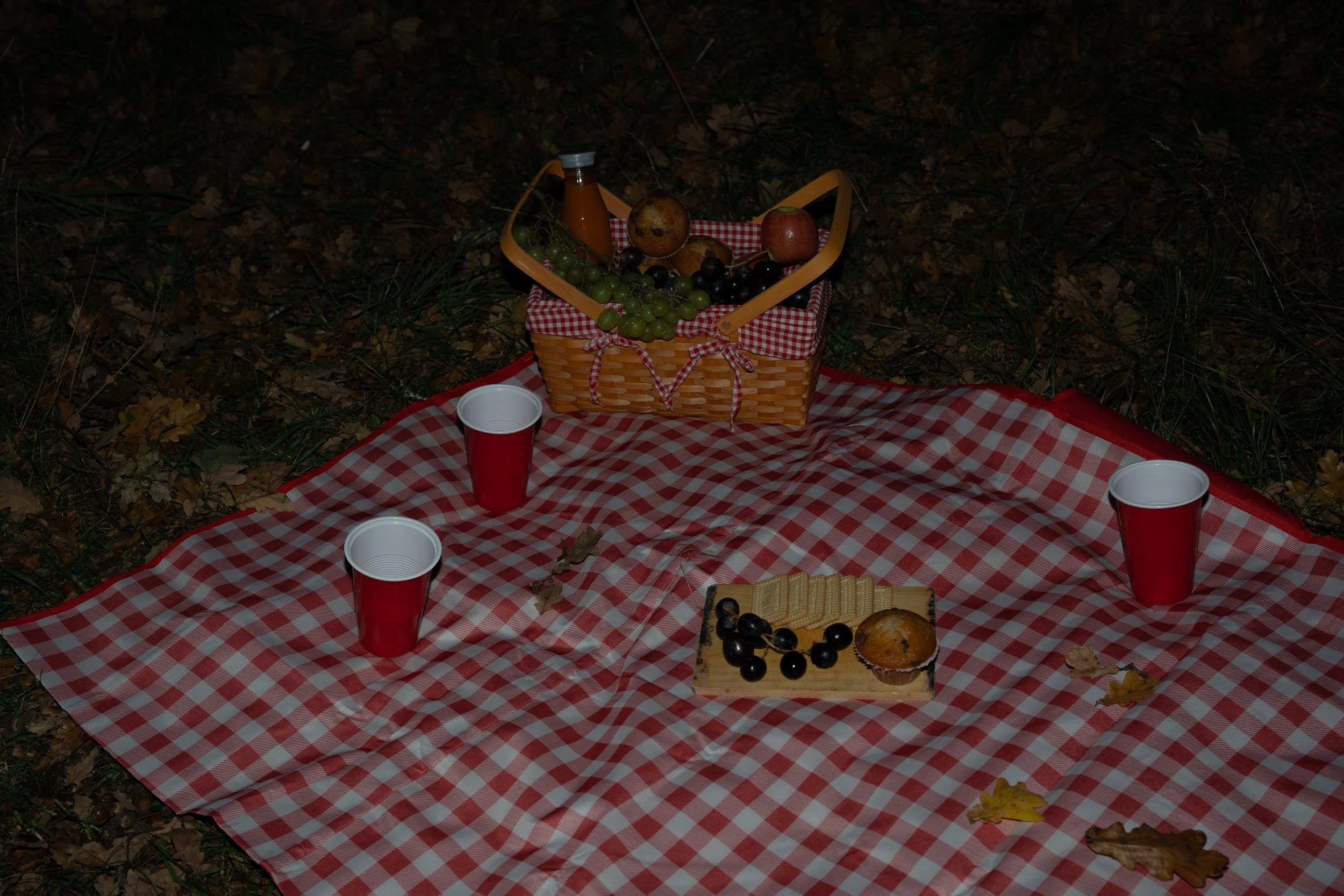 Picnic setup on a red checkered blanket with a basket of fruit, cups, a muffin, a plate of crackers and grapes, and some fallen leaves in a wooded area at night.