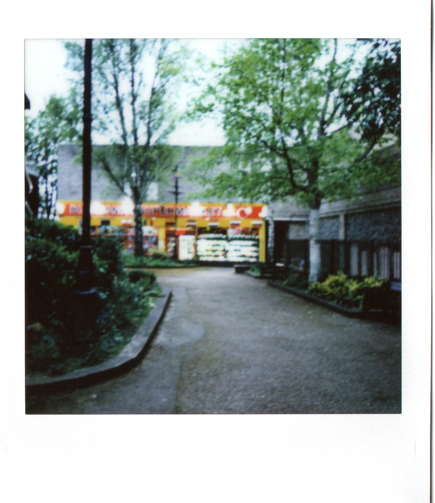 Blurred photo of a walkway leading to a store with a yellow and red sign, surrounded by green trees and foliage.