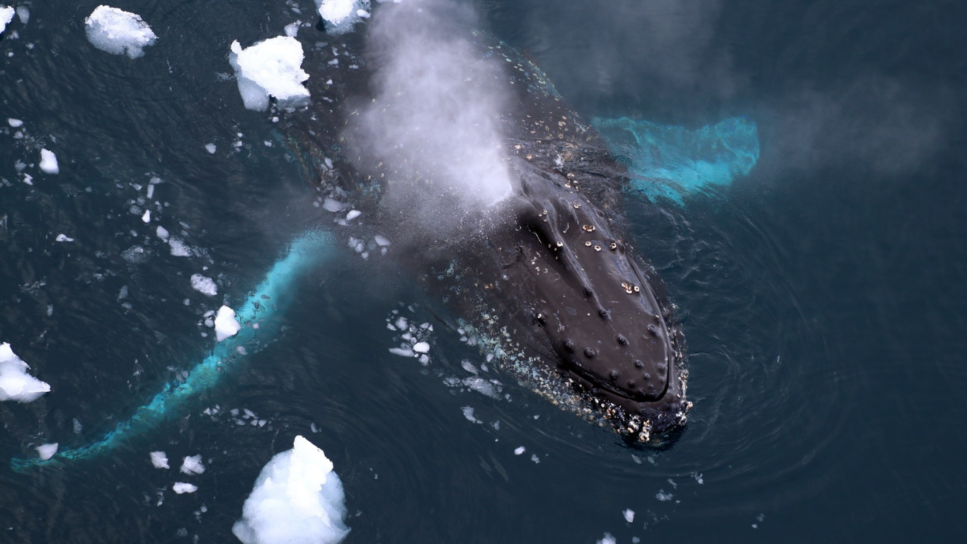 Diseño sin título-44.png