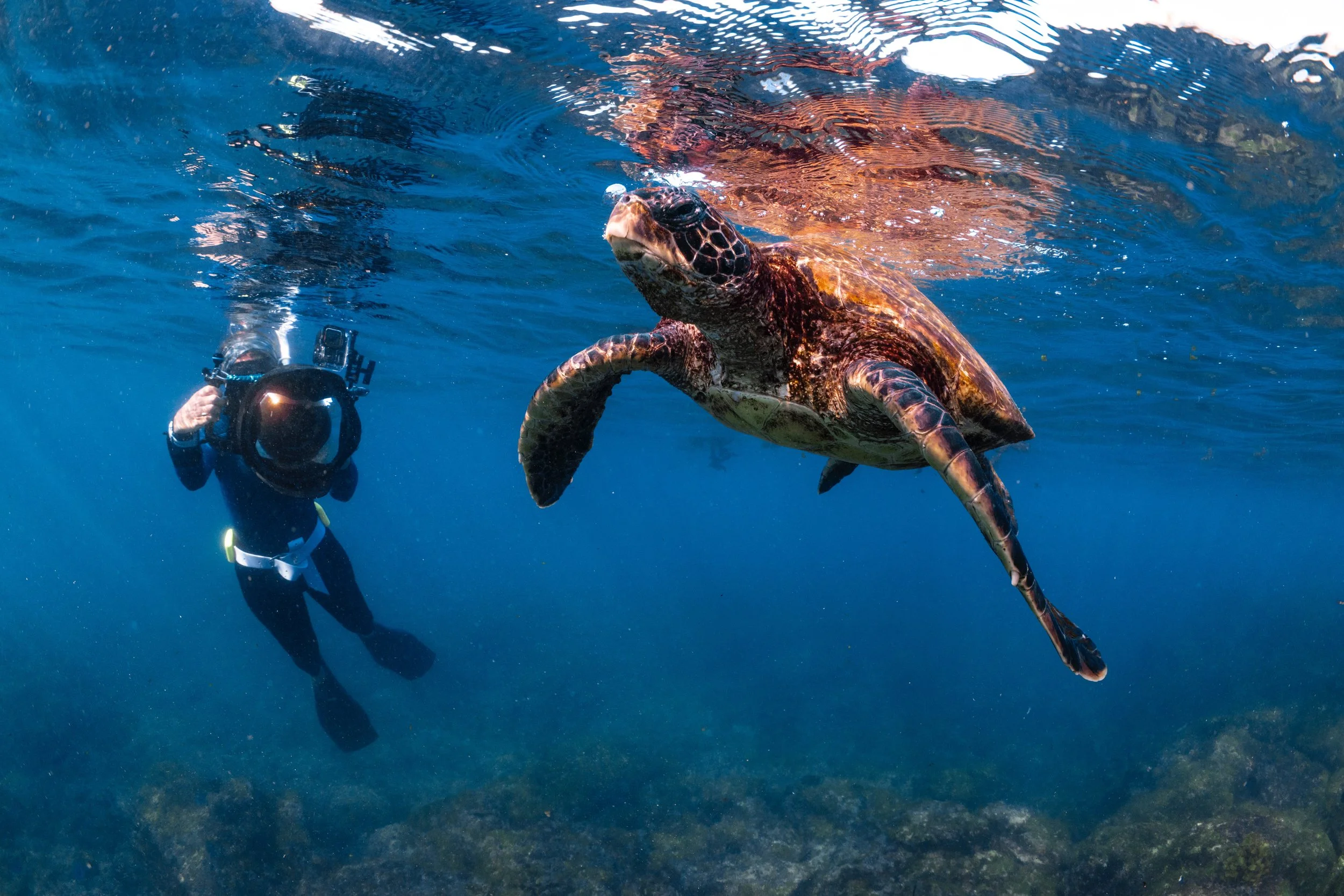 7.3 Snorkeling - photo credit_ Ollie Clarke for Ecoventura-2.jpg