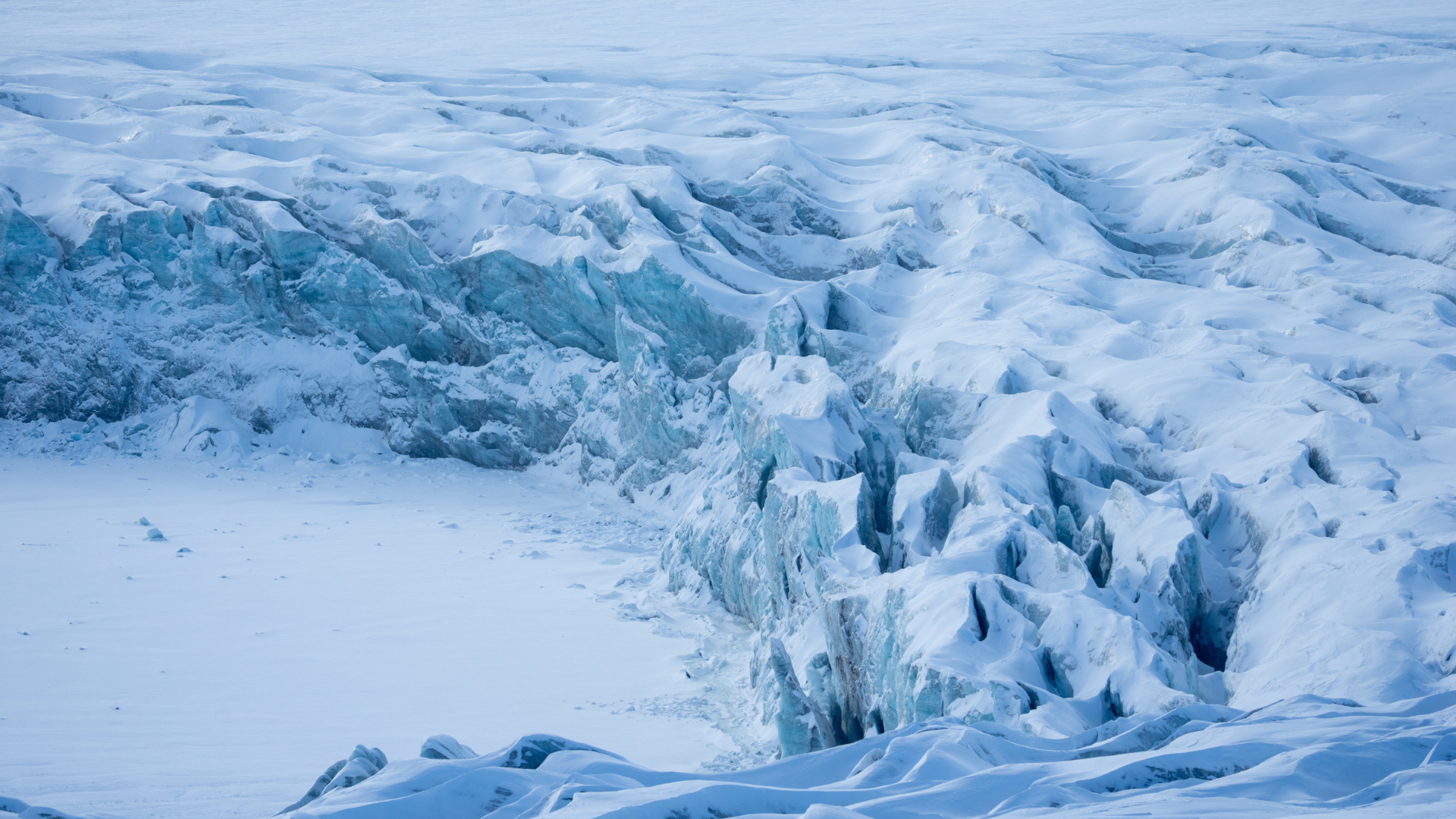 BLACK DELIGHTS PARA LOS TÍTULOS-11.png