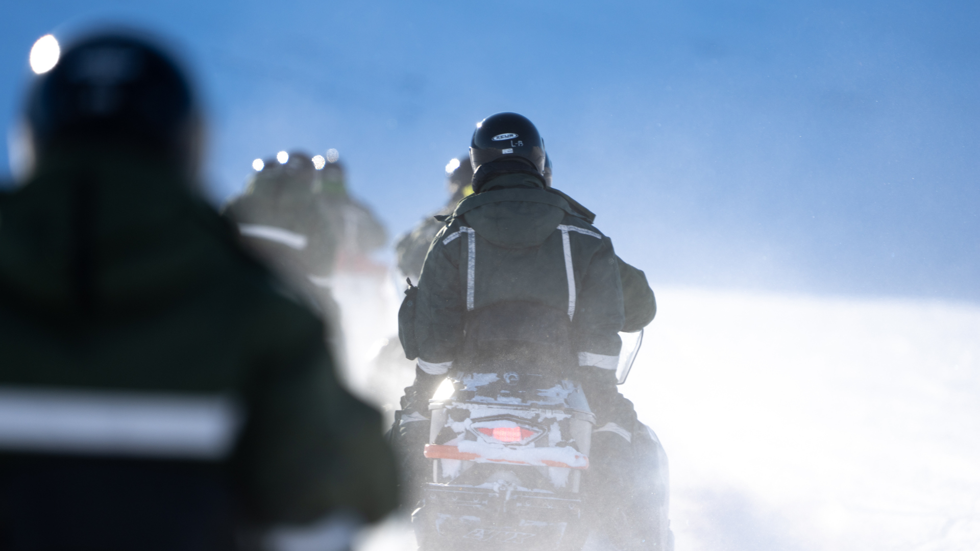 BLACK DELIGHTS PARA LOS TÍTULOS-12.png