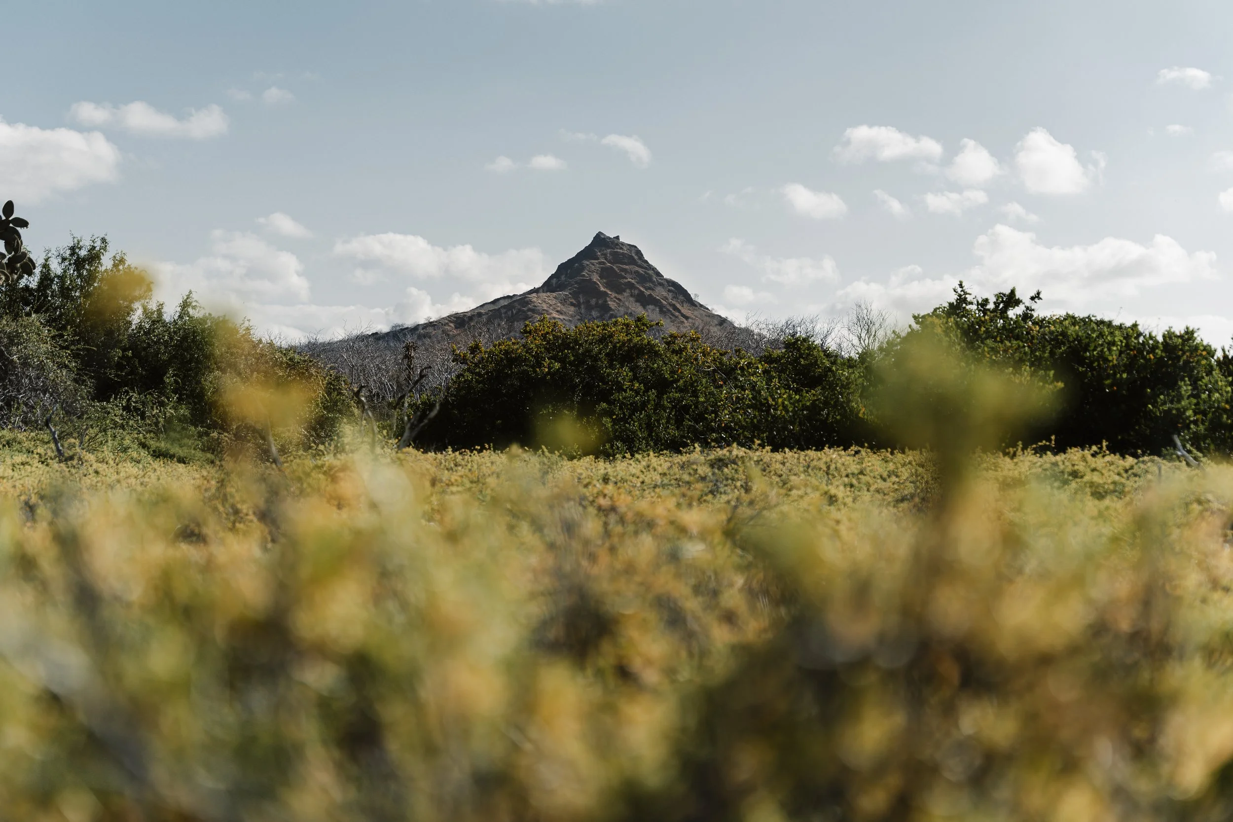 Cerro Dragon - Santa Cruz by Dana Bjarner 3.jpg