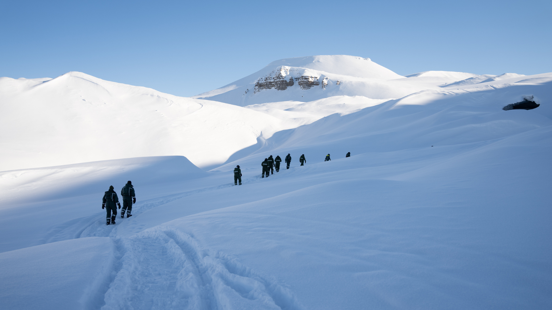 BLACK DELIGHTS PARA LOS TÍTULOS-9.png