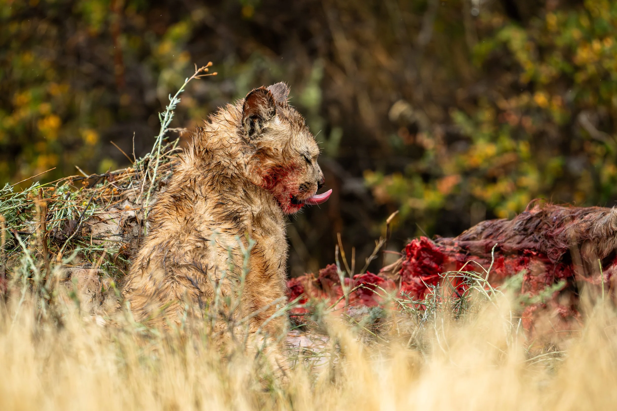 NZ8_9850-18.jpg