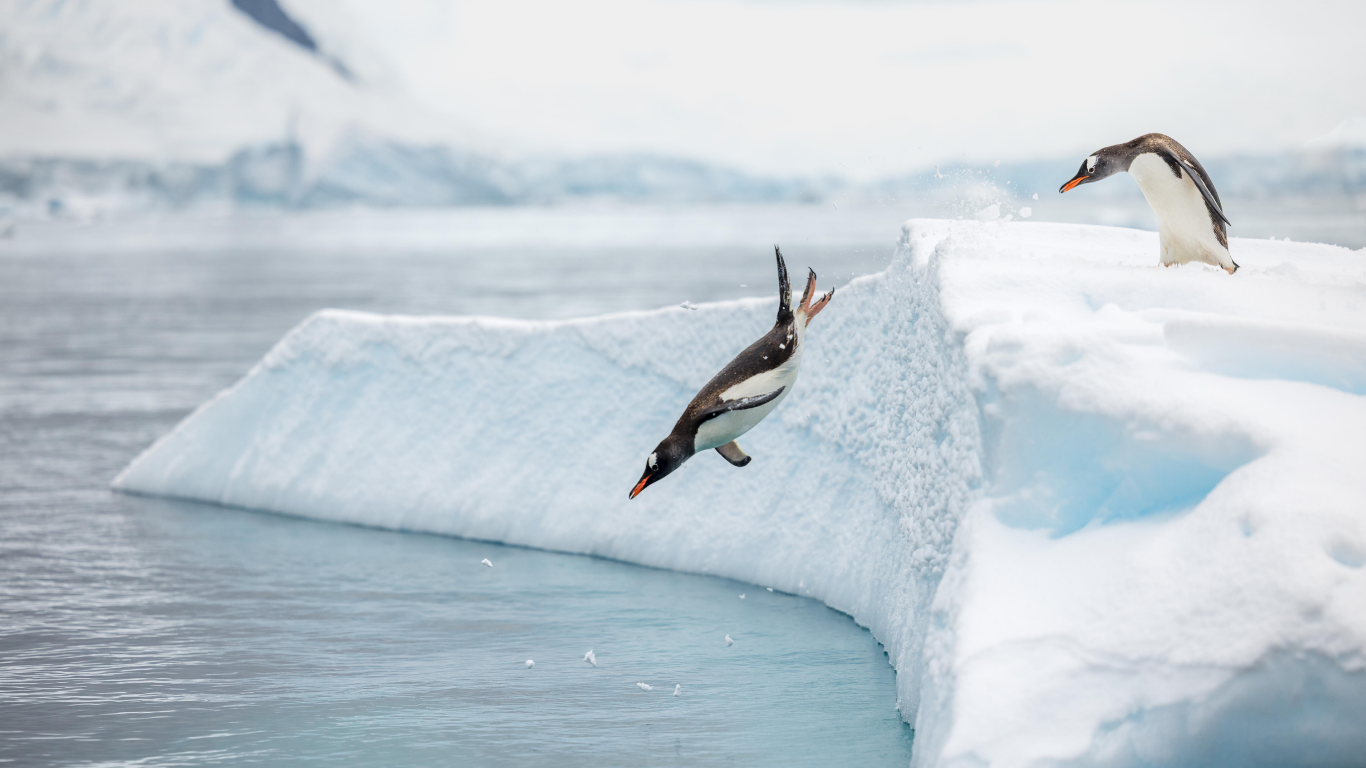 Diseño sin título-41.png