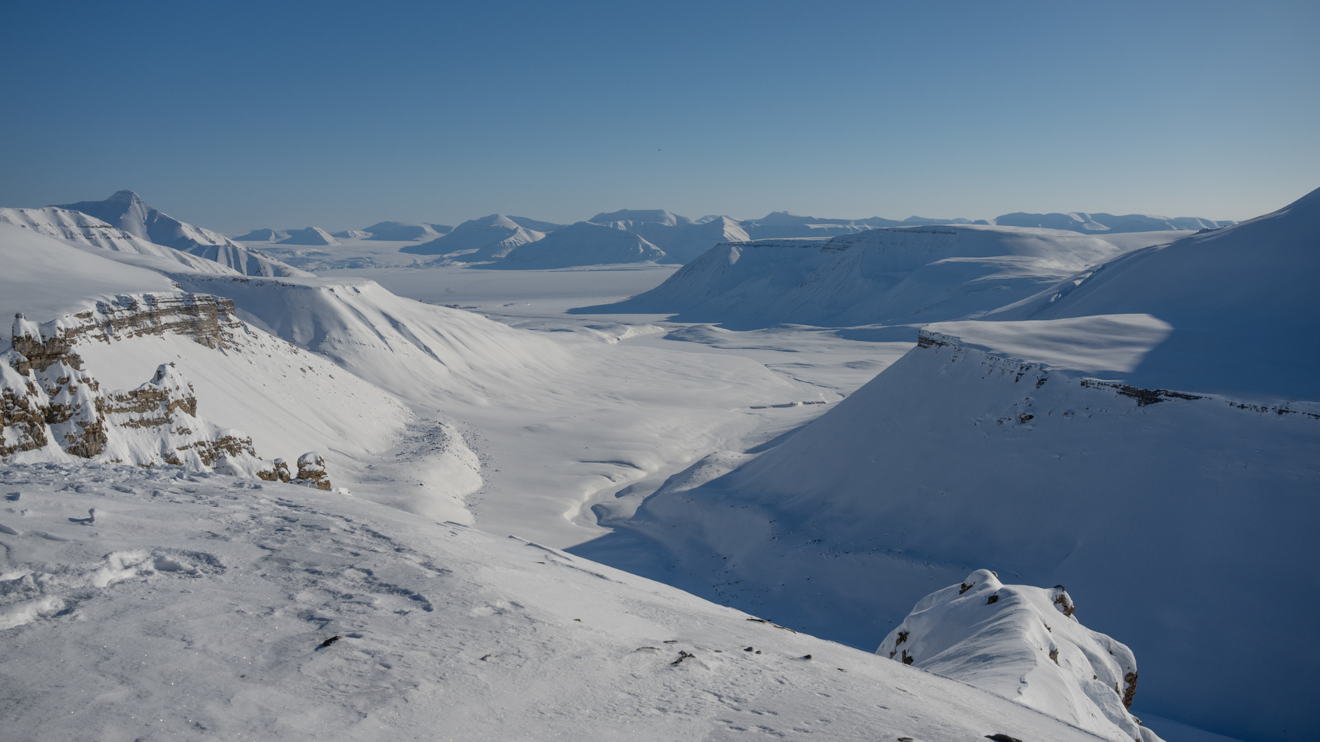 BLACK DELIGHTS PARA LOS TÍTULOS-13.png