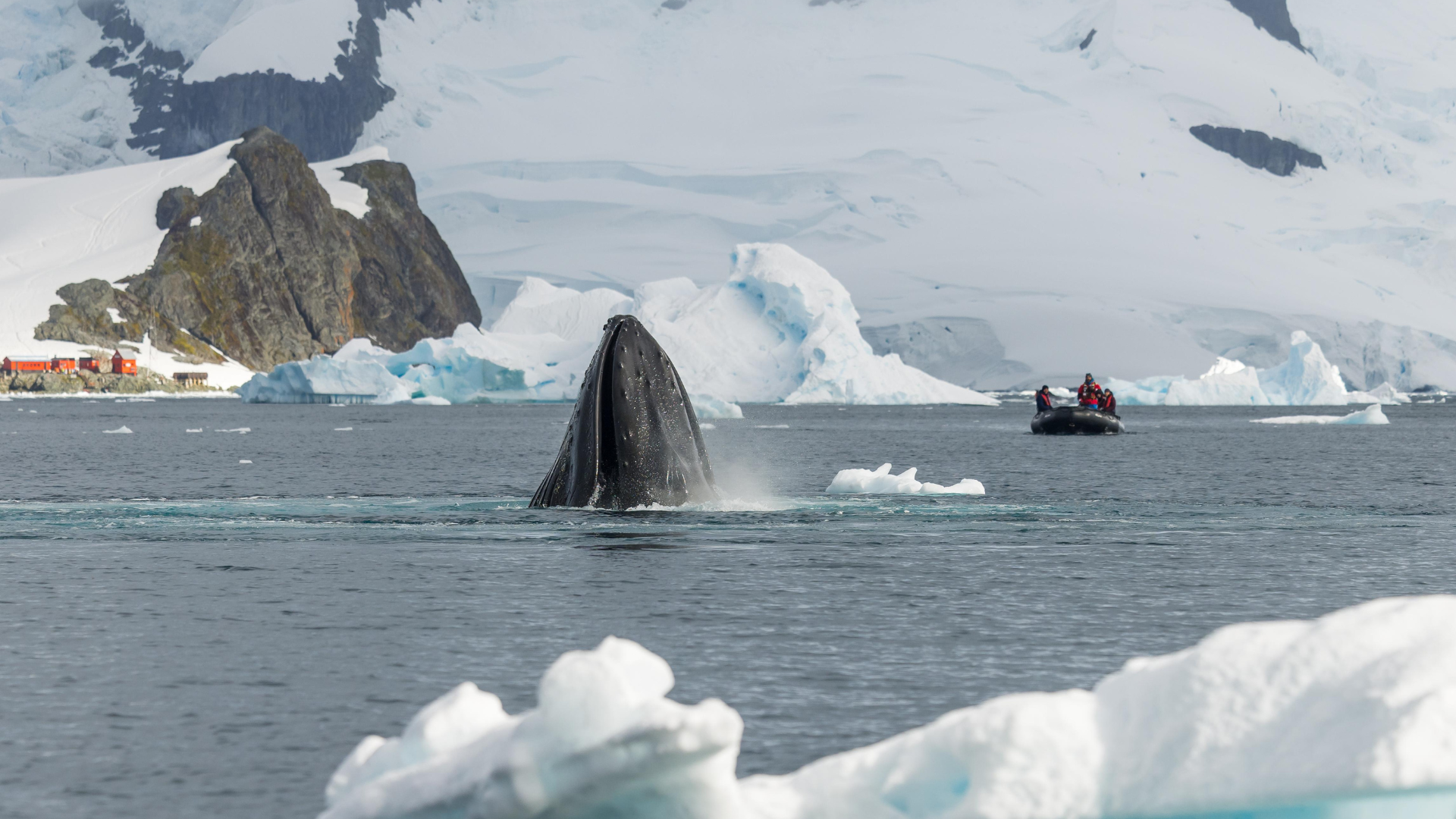 Diseño sin título-39.png