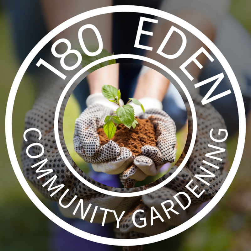 Person planting a young seedling in soil, wearing gardening gloves, with a logo overlay reading '180° Eden Community Gardening'