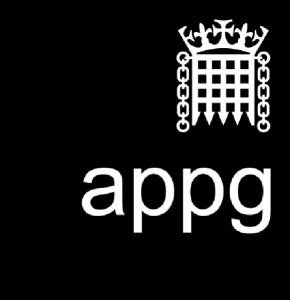NADSN | National Association of Disabled Staff Networks | The Logo for All-Party Parliamentary Groups (APPGs) in the United Kingdom