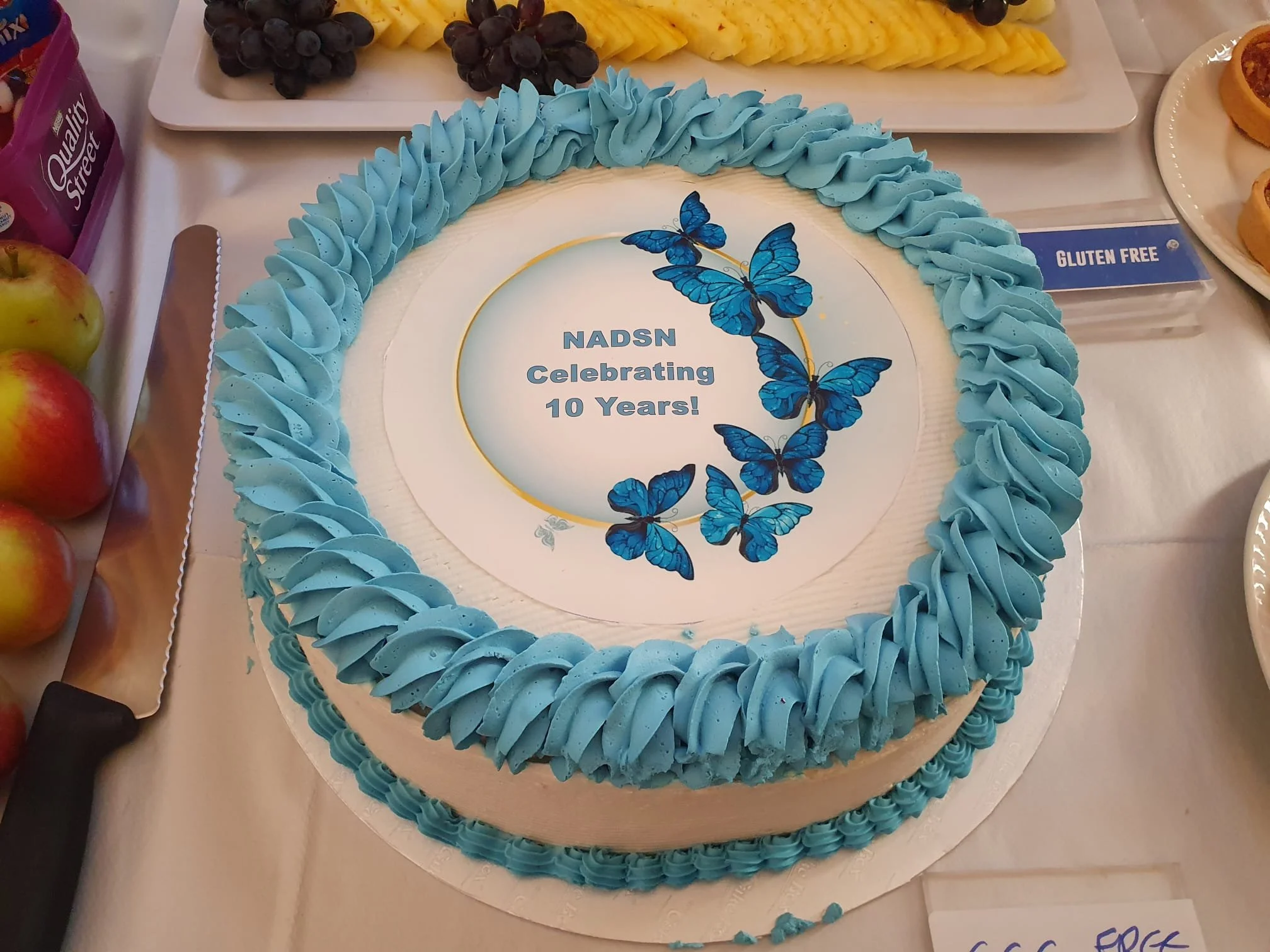 NADSN | National Association of Disabled Staff Networks | A Round White Cake With Blue Frosting Around the Edges and Butterflies on Top, Celebrating 10 Years of NADSN.