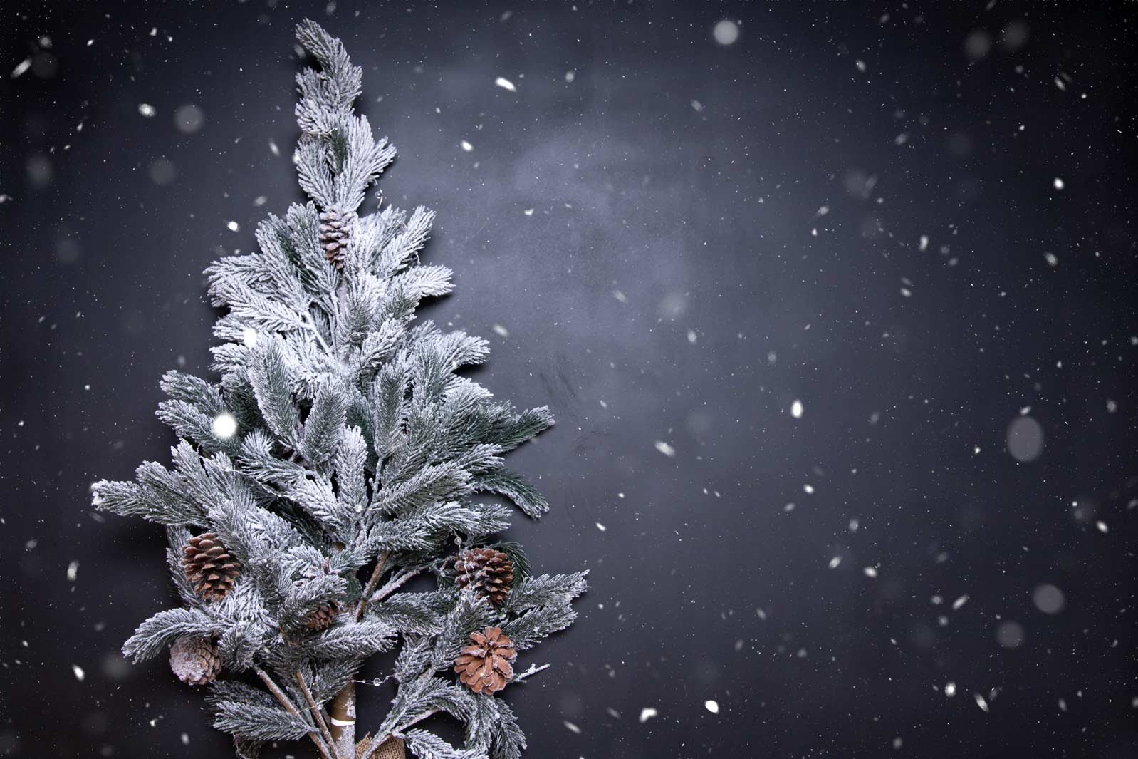 Happy Holidays!