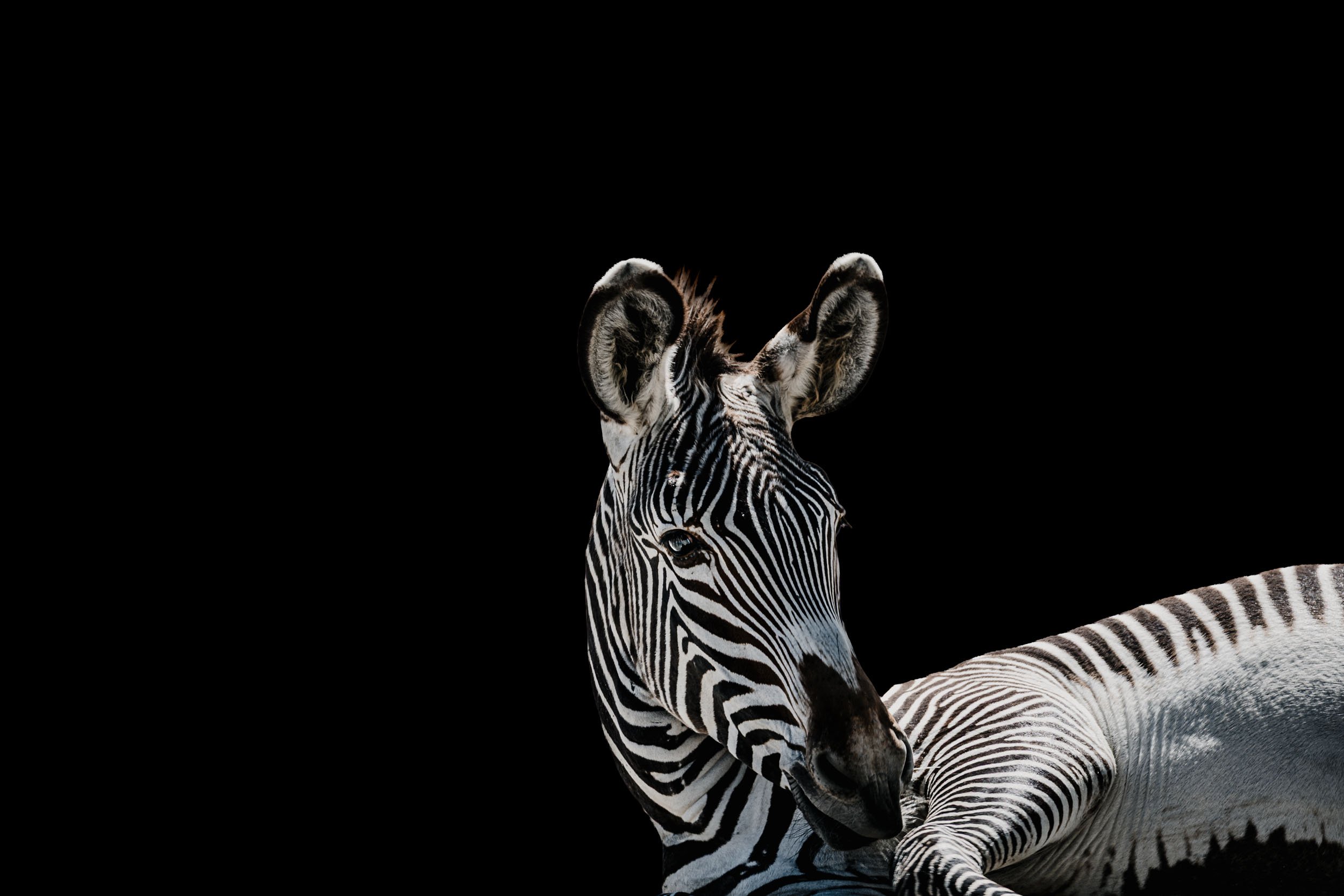 Lines of Identity