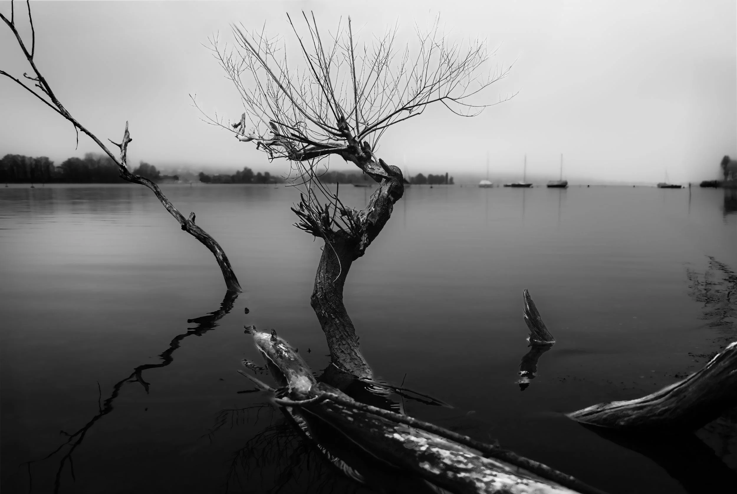 Beneath the Skin